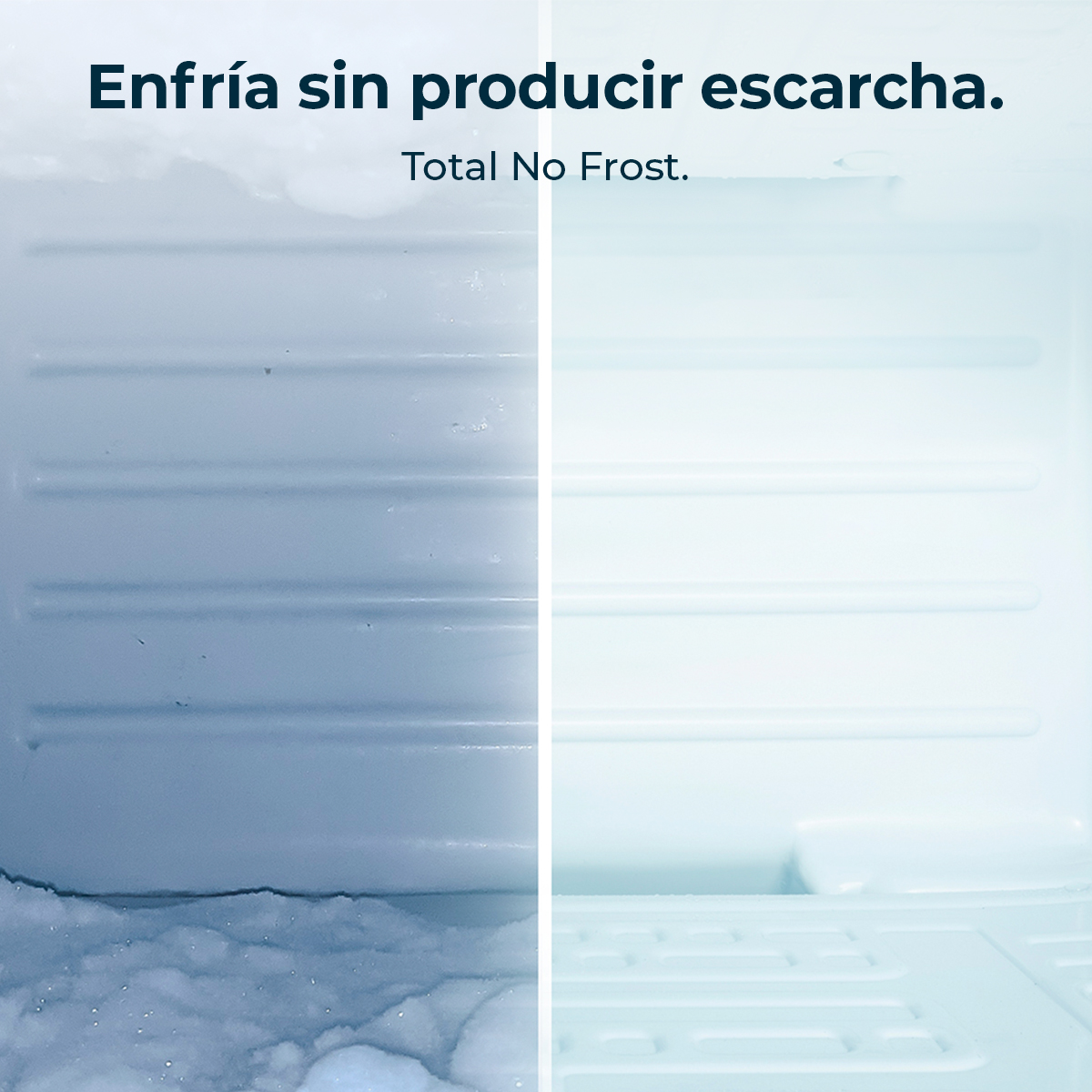 Interior del refrigerador que muestra compartimentos sin escarcha, limpios y vacíos.