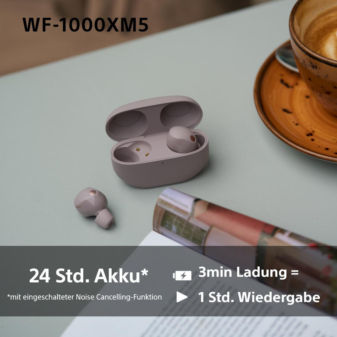 Ohrhörer und Ladeetui. Text weist auf 24 Stunden Akkulaufzeit hin, 3 Minuten Laden ergibt 1 Stunde Wiedergabe.