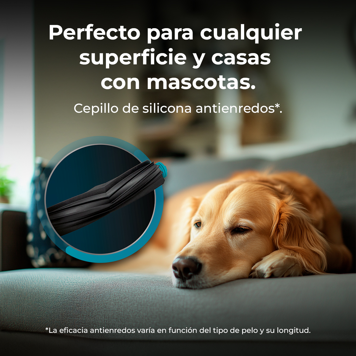 Un perro golden retriever descansando en un sofá gris, con texto sobre cepillo anti-enredos.