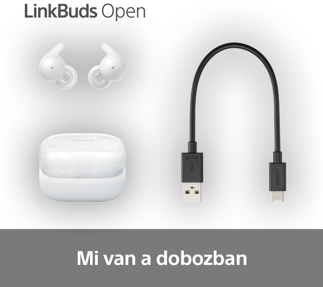 Fehér fülhallgató, töltőtok és fekete USB kábel.