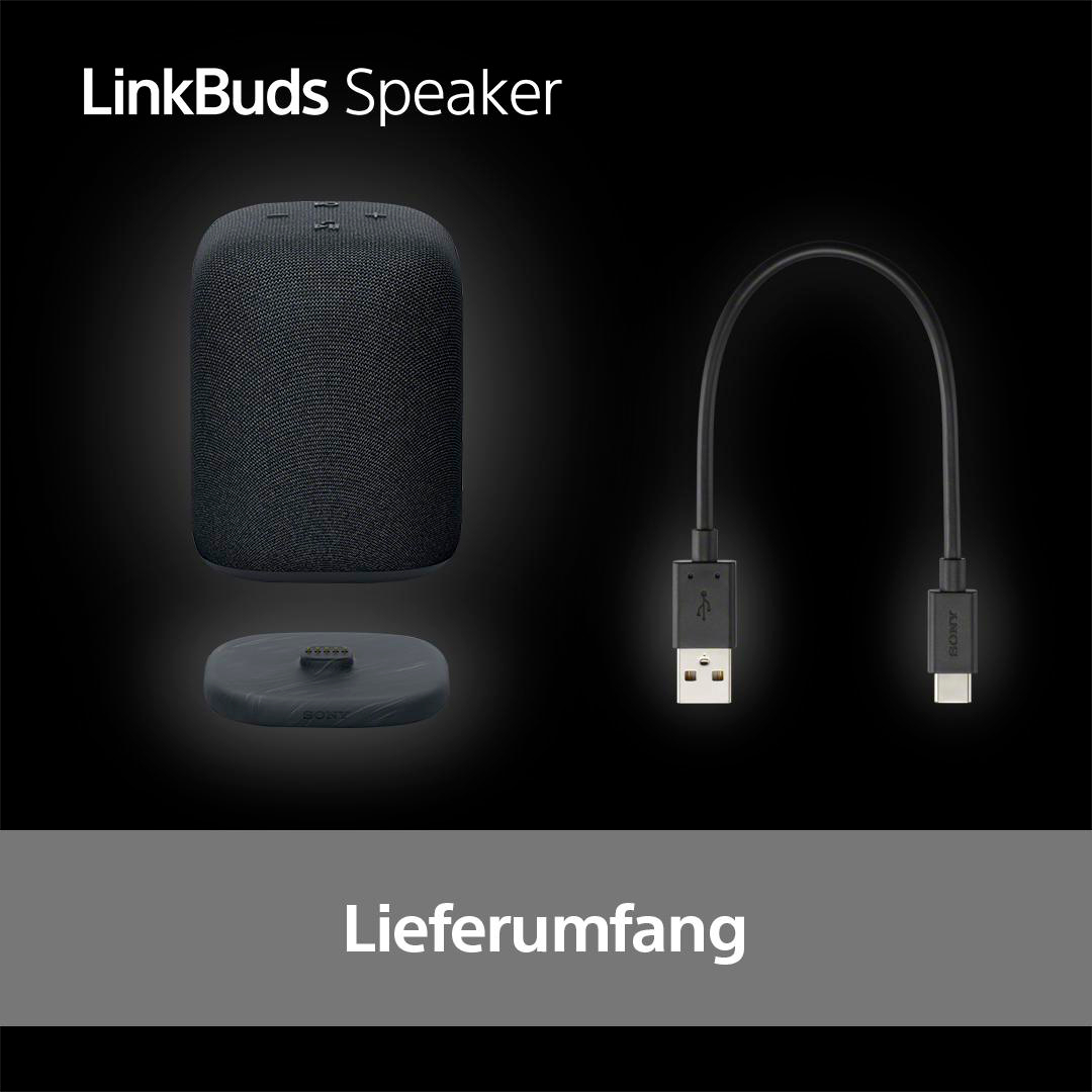 Schwarzer LinkBuds-Lautsprecher und Zubehör auf schwarzem Hintergrund. Inklusive Ladestation und USB-Kabel.