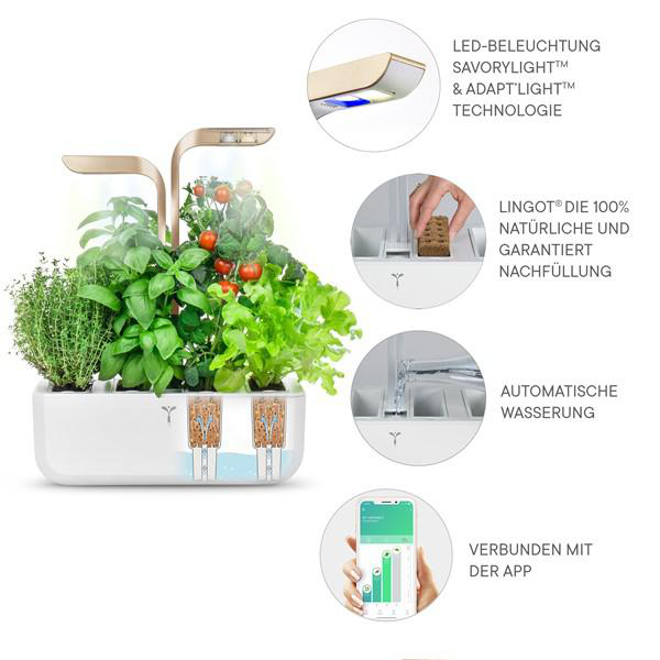 VERITABLE Indoor Garten, Connect Edition, Moonlight