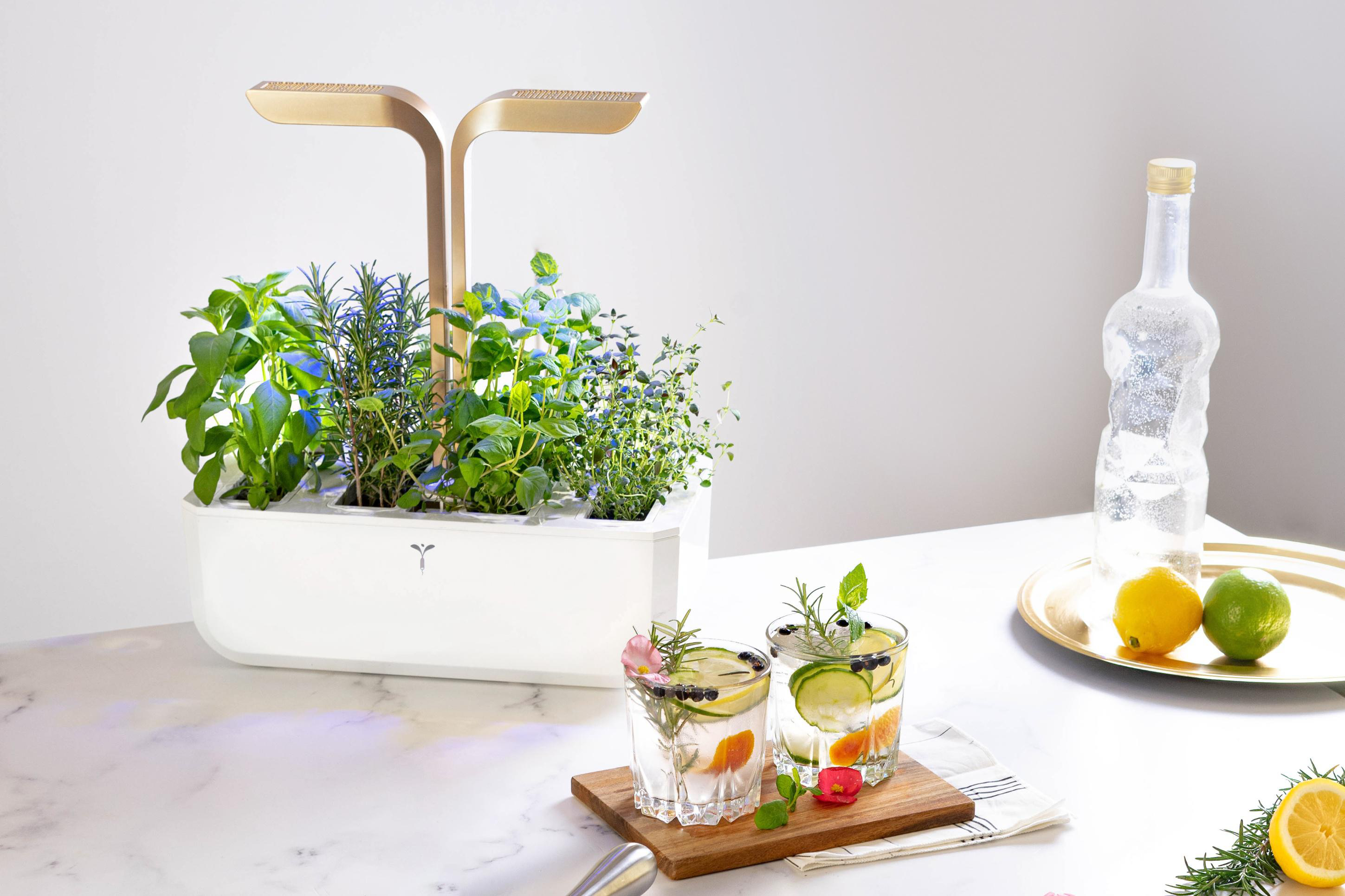 VERITABLE Indoor Garten, Connect Edition, Moonlight