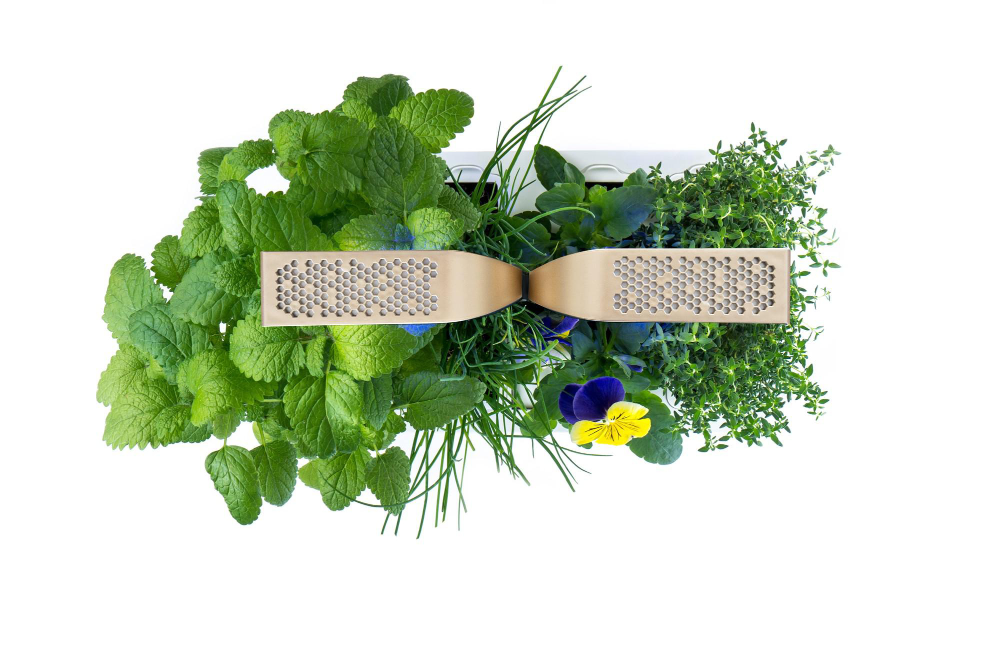 VERITABLE Indoor Garten, Connect Edition, Moonlight