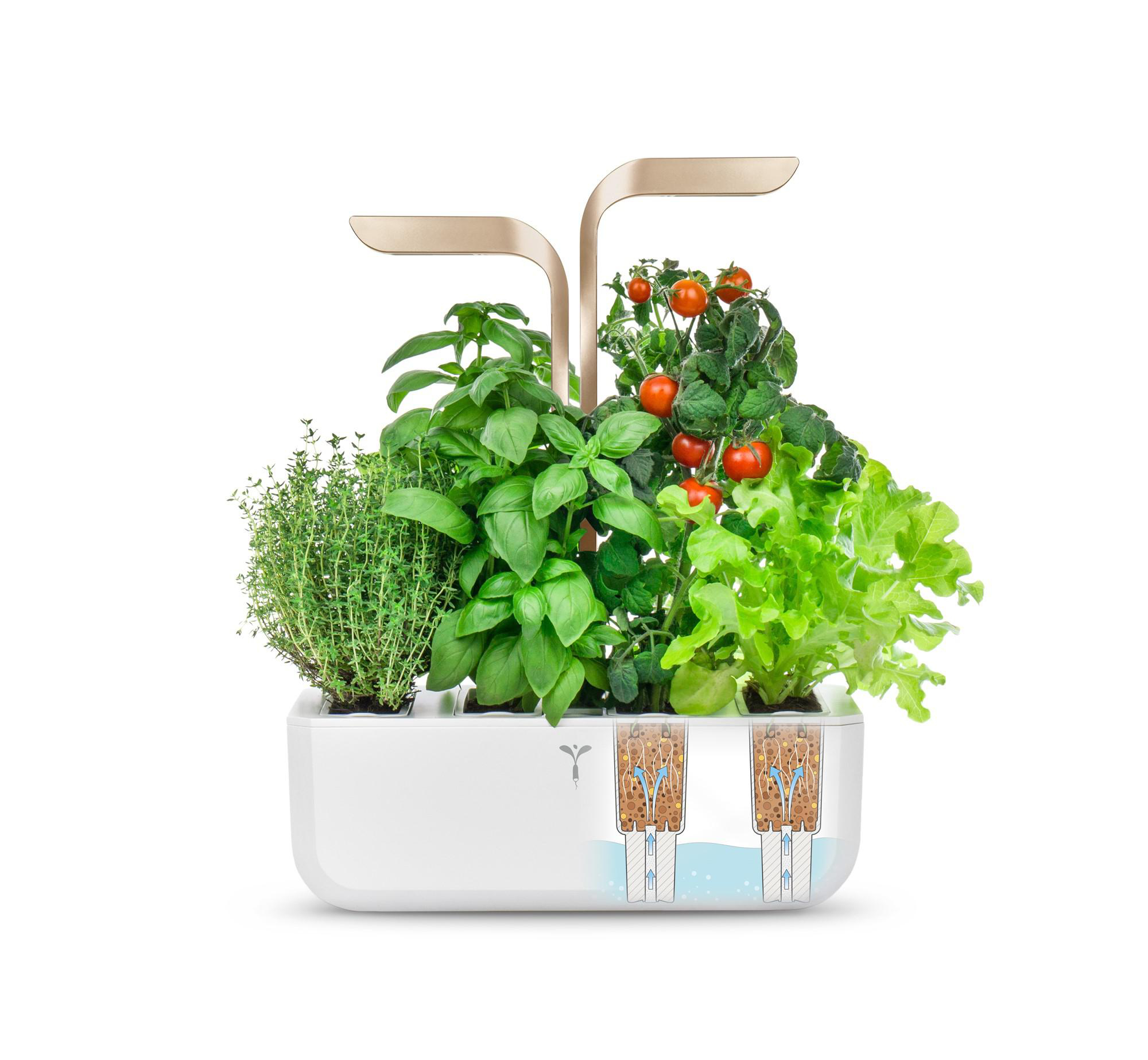 VERITABLE Indoor Garten, Connect Edition, Moonlight