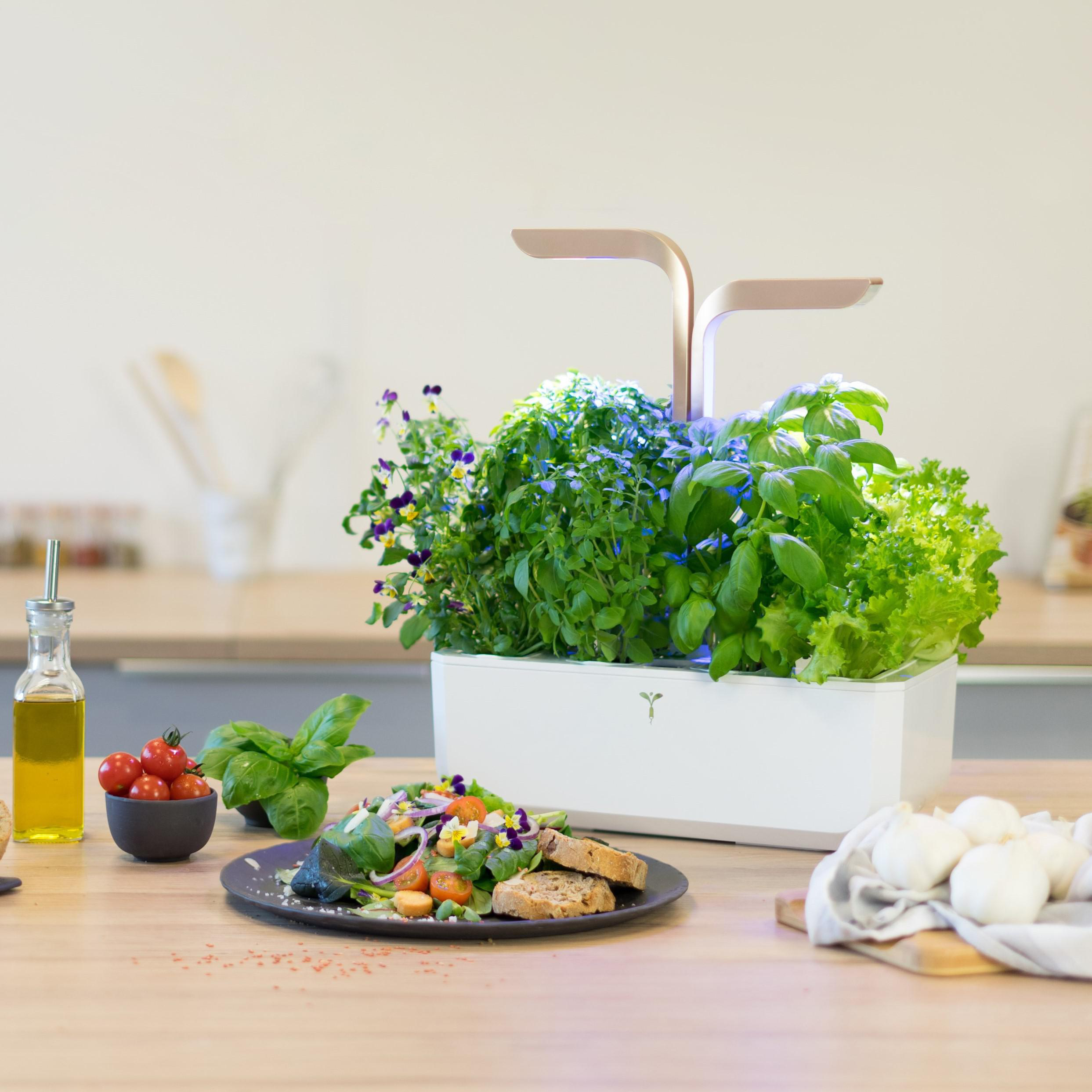 VERITABLE Indoor Garten, Connect Edition, Moonlight