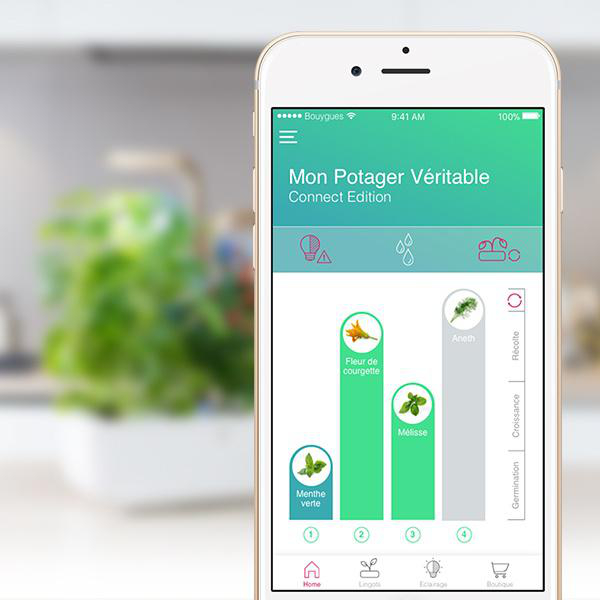 VERITABLE Indoor Garten, Connect Edition, Moonlight