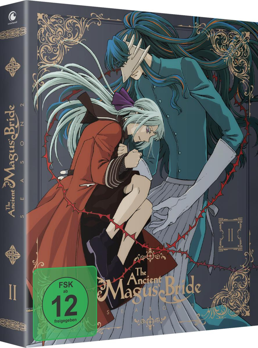 Anime-DVD-Box mit zwei Figuren auf dem Cover, umgeben von dornigen Ranken und dekorativen Elementen.