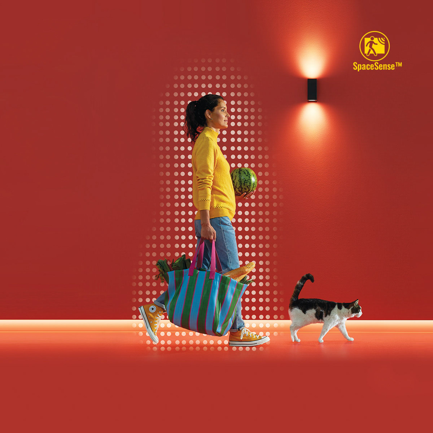 Une personne porte un sac de courses, tenant une pastèque. Un chat marche devant elle. Mur rouge avec lumière.