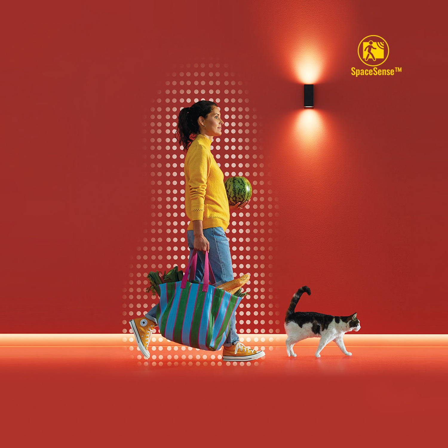 Une femme en jaune marche avec un sac et une pastèque. Un chat marche devant. Un mur rouge avec des lumières.