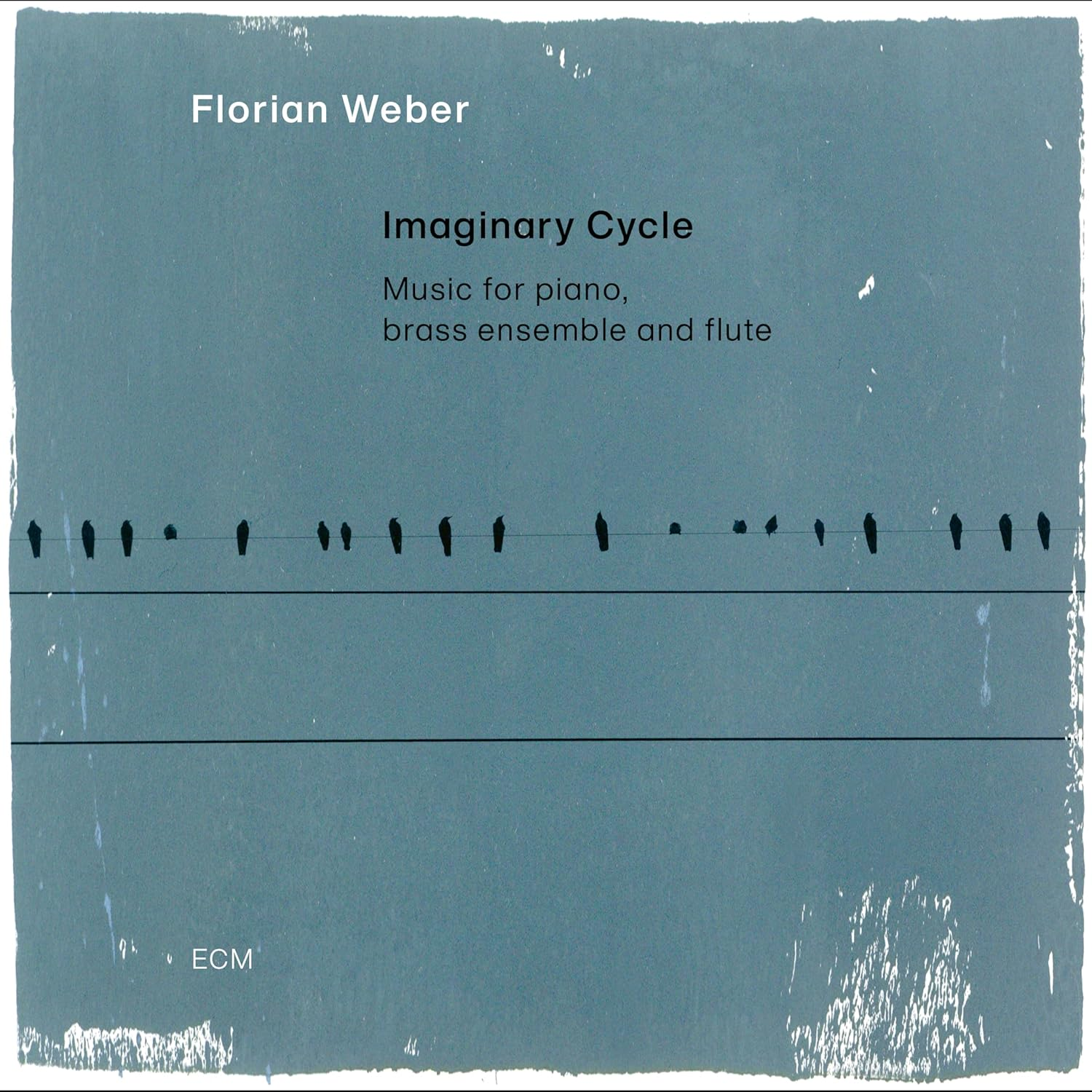 Album borító. Szürke háttér madár sorral és 'Imaginary Cycle' szöveggel.