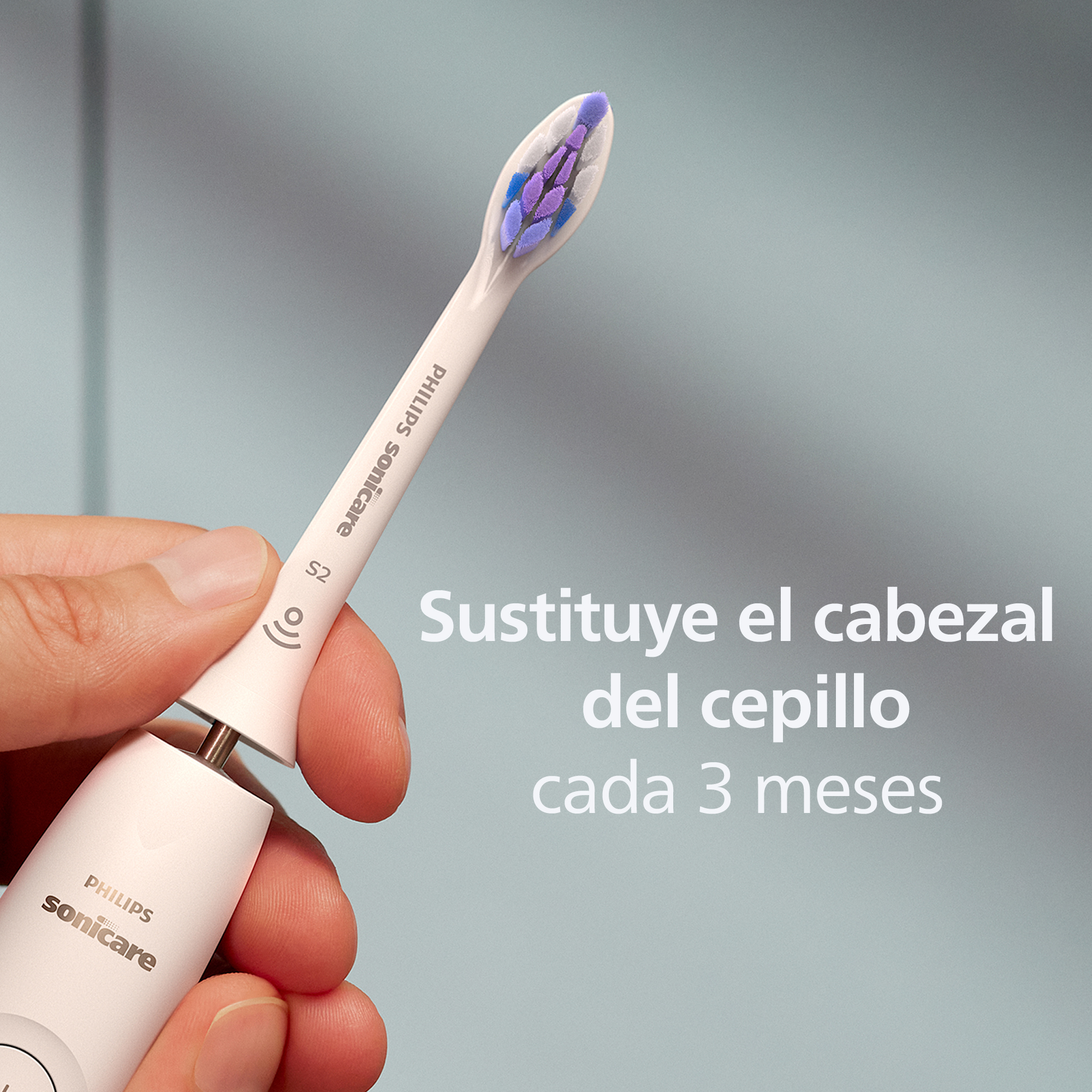 Una mano sostiene un cepillo de dientes Philips Sonicare. El texto dice que reemplace el cabezal cada 3 meses.
