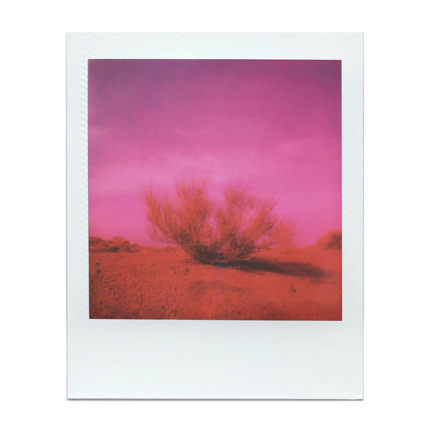 Una foto Polaroid di un paesaggio desertico con cielo rosa e terreno rosso.