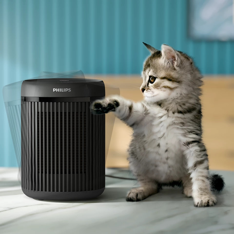 Kocię sięga po czarny oczyszczacz powietrza. Oczyszczacz stoi na białej powierzchni.