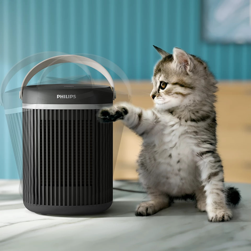 Ciemny grzejnik z uchwytem przed kotem. Tło to niebieska ściana.