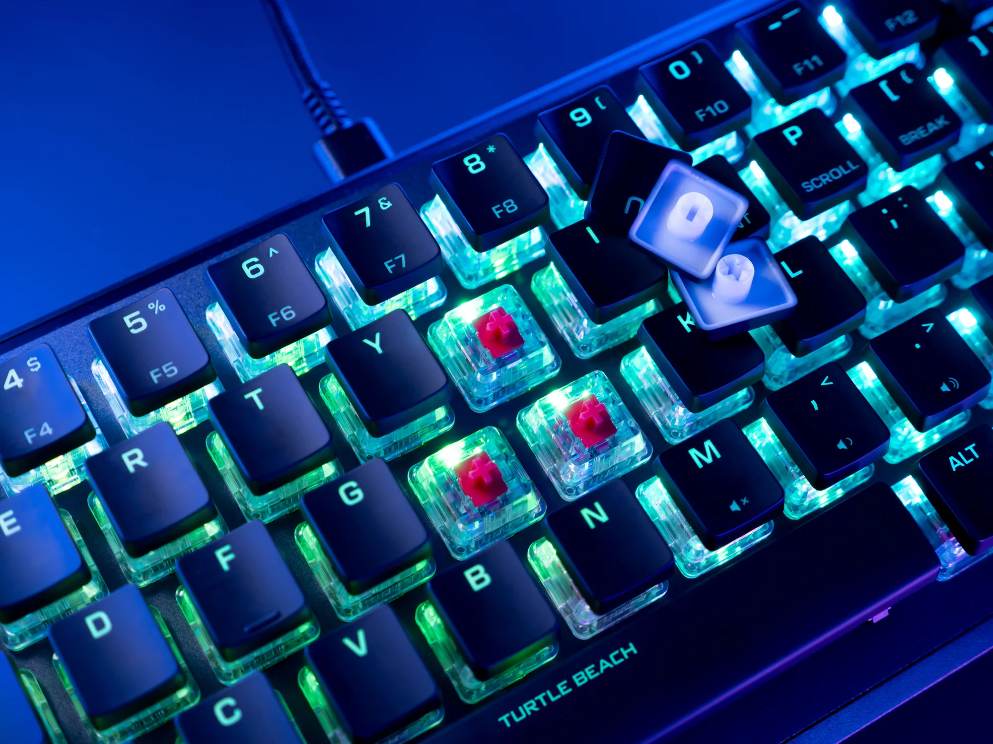 Nahaufnahme einer hintergrundbeleuchteten mechanischen Tastatur mit entfernten Tastenkappen.