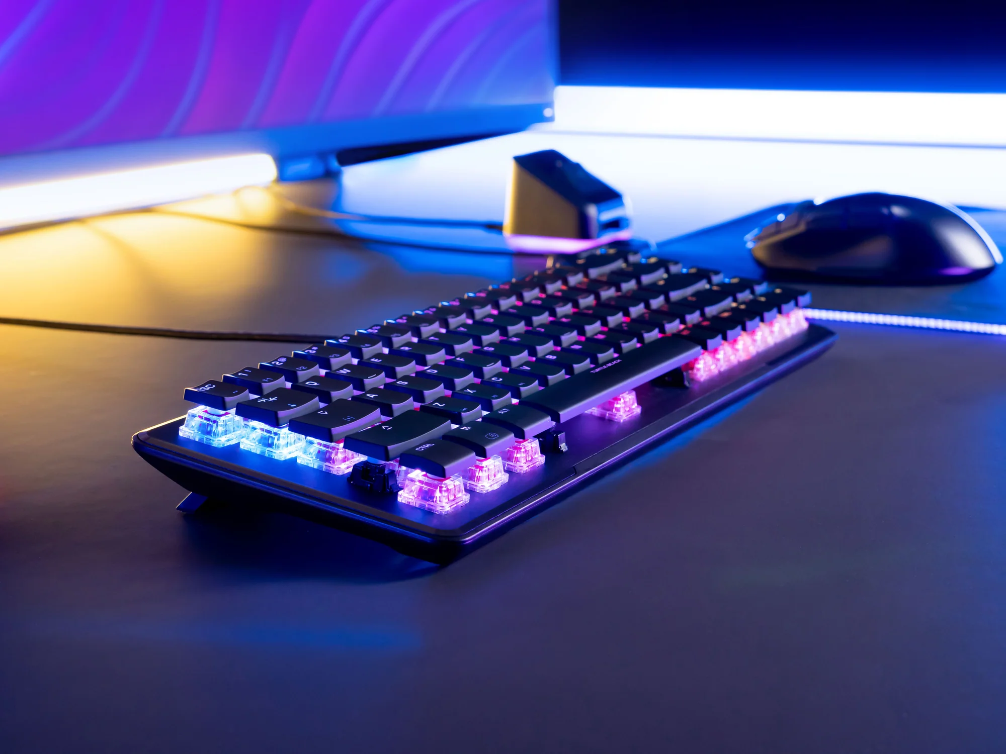 Beleuchtete Tastatur mit blauen, lila und rosa Tasten. Eine Maus und ein Ladegerät sind sichtbar.