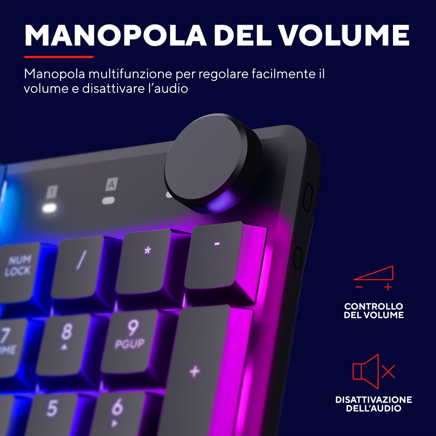 Primo piano di una tastiera con la manopola del volume e i pulsanti.