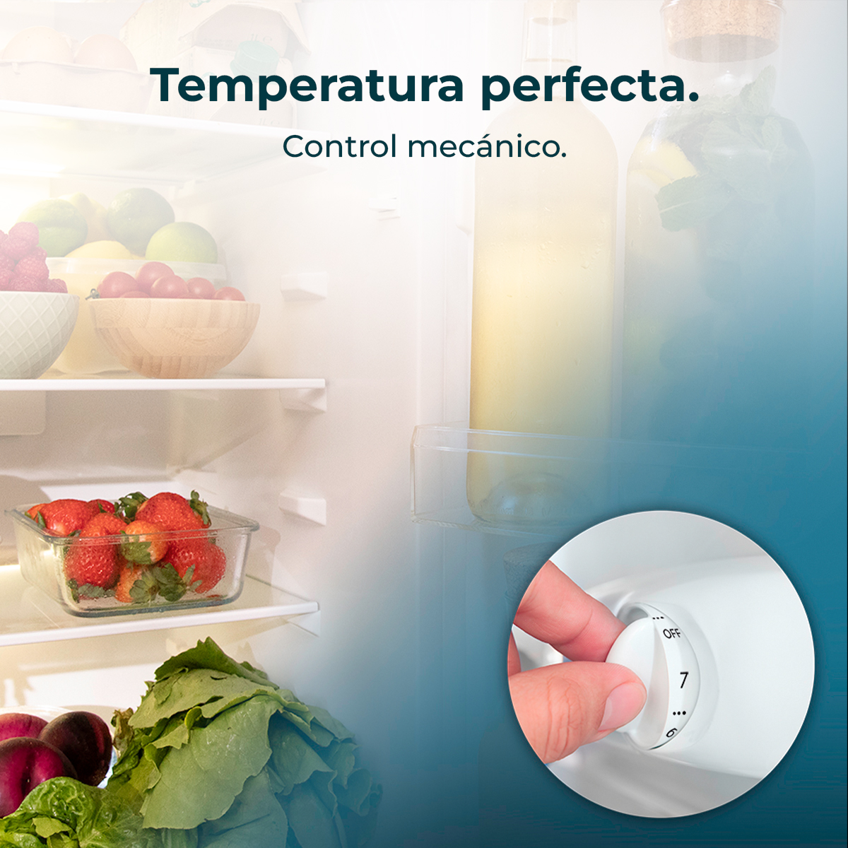 Interior de un refrigerador. Se ven fresas, lechuga y botellas. Una mano gira un dial con números.