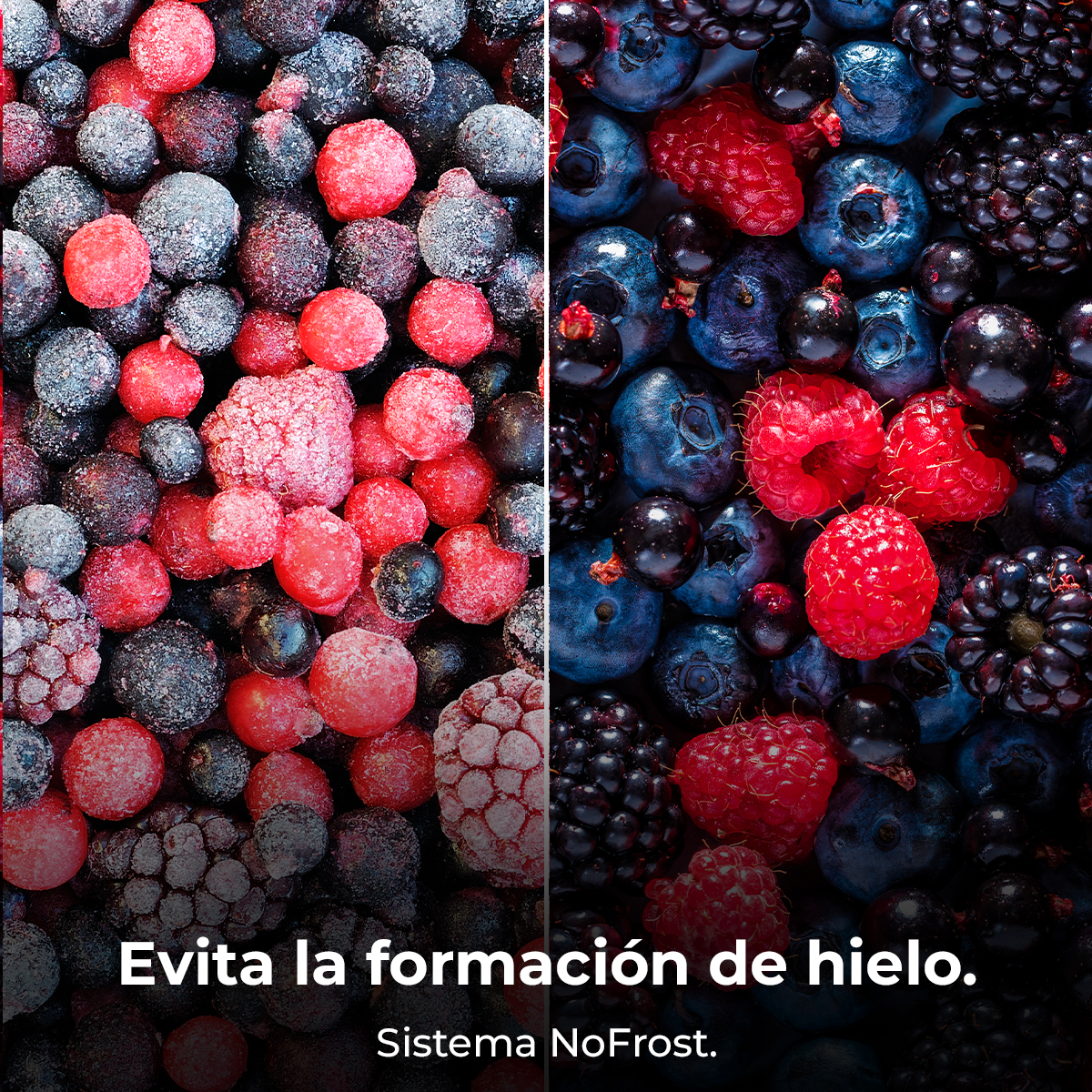 Imagen dividida que muestra bayas congeladas, con colores rojos y negros. Texto: 'Evita la formación de hielo.'