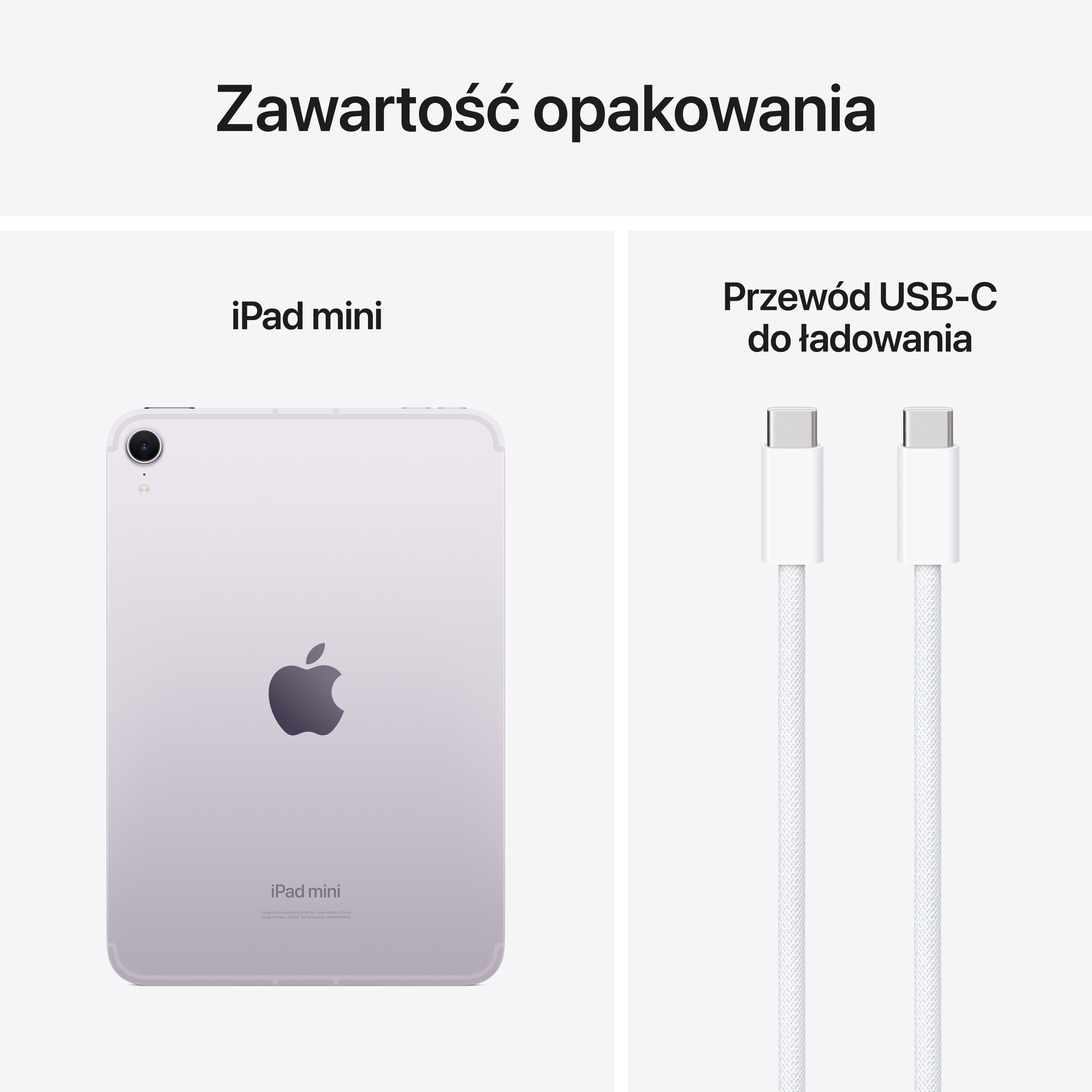 Zawartość opakowania: Lawendowy iPad mini i biały przewód USB-C do ładowania.