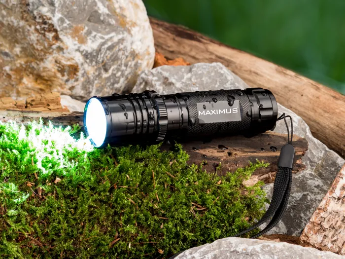 Torcia nera con fascio luminoso su muschio e rocce.
