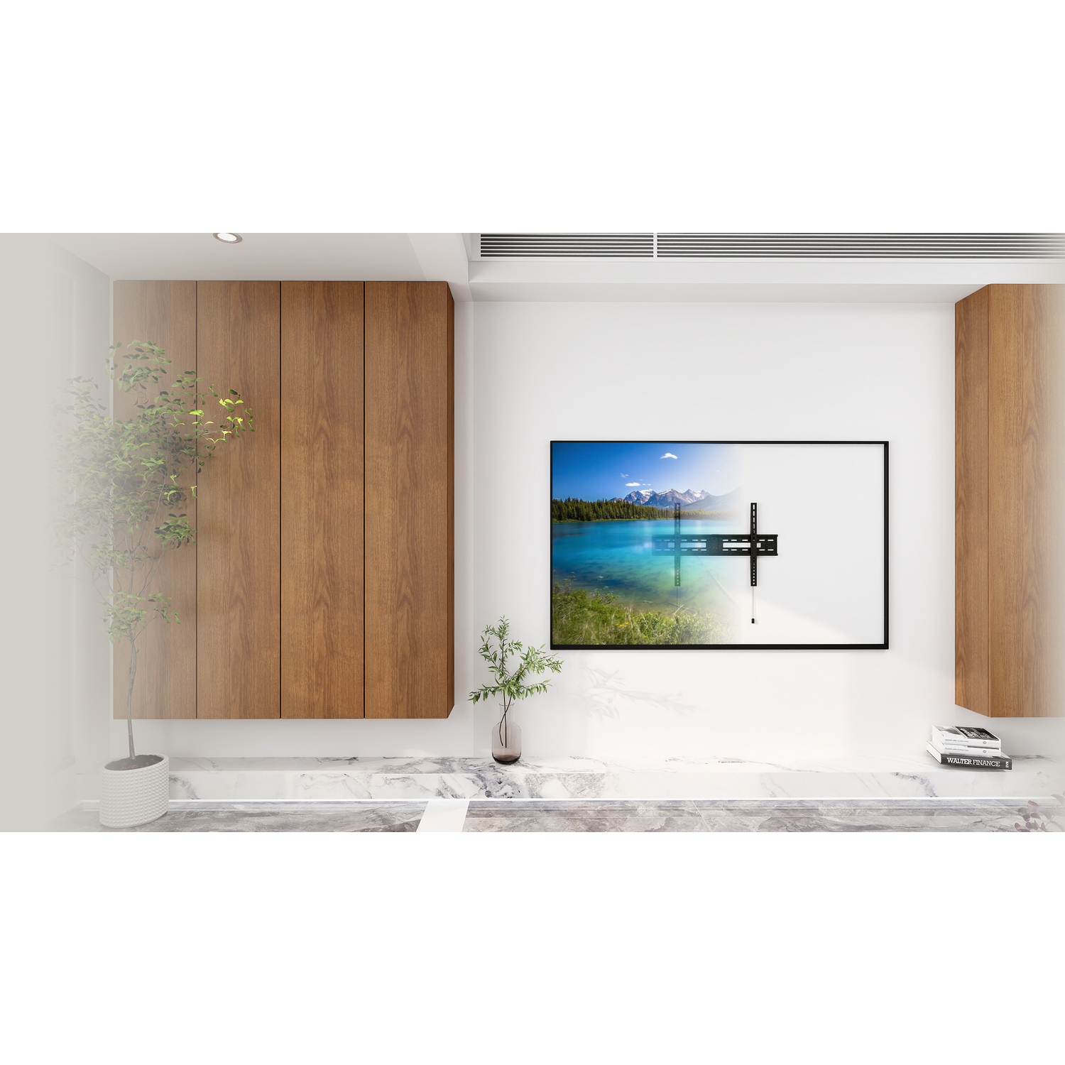 Salon avec des meubles en bois, une télévision affichant un paysage et une petite plante.