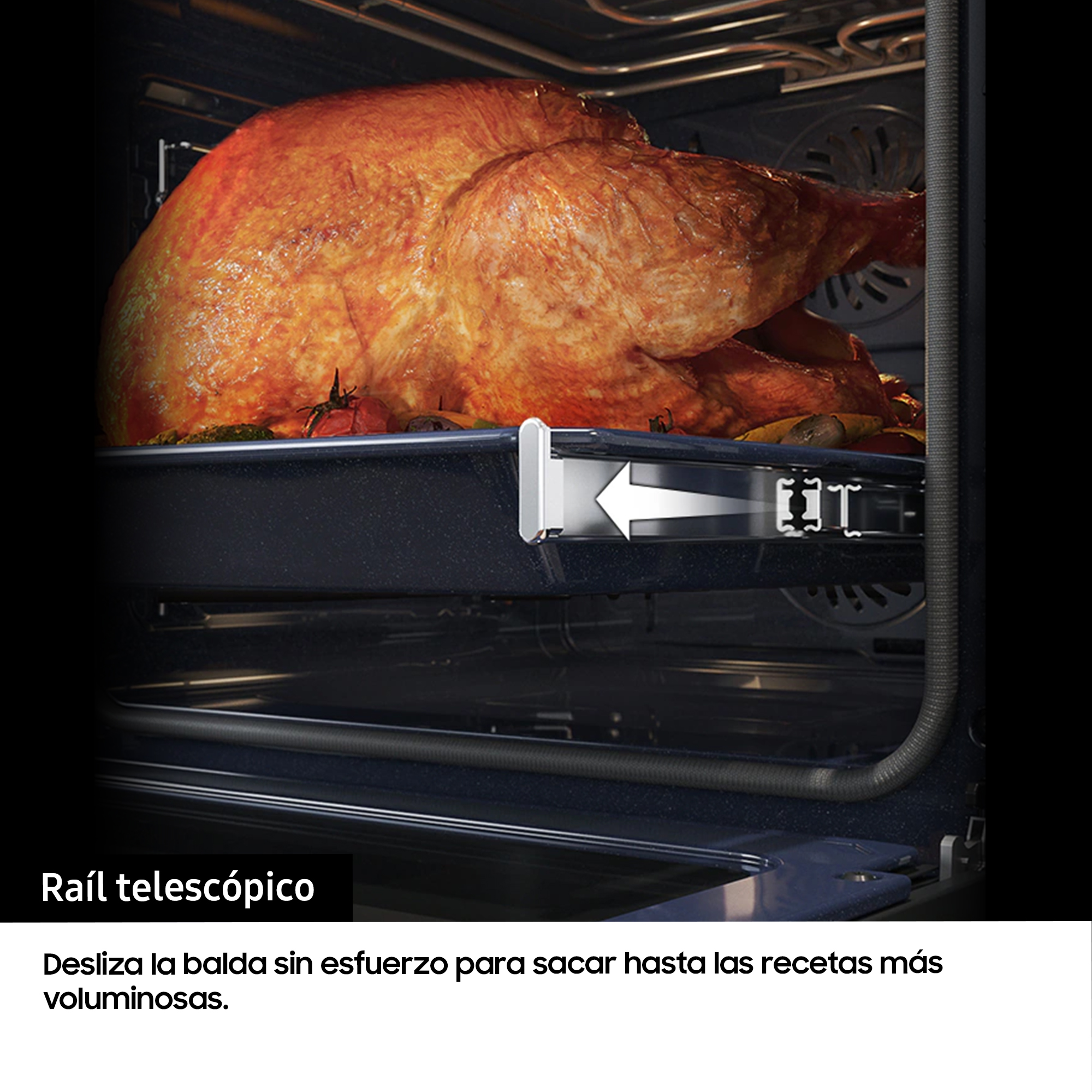 Un pavo asado en un horno, sobre una balda deslizante. El interior del horno es visible.