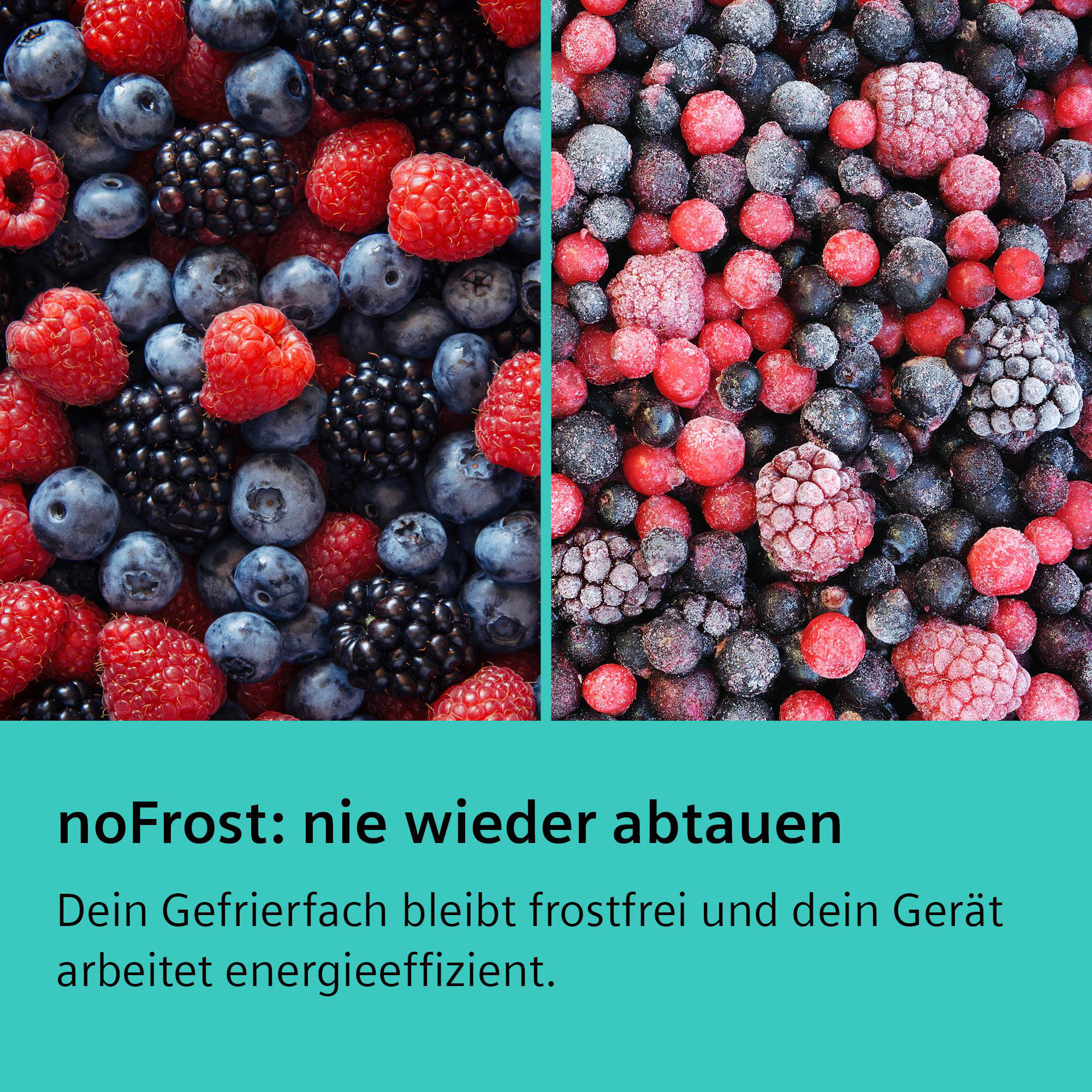 Zwei Bilder: Gemischte Beeren links, gefrorene Beeren rechts. Text sagt noFrost.