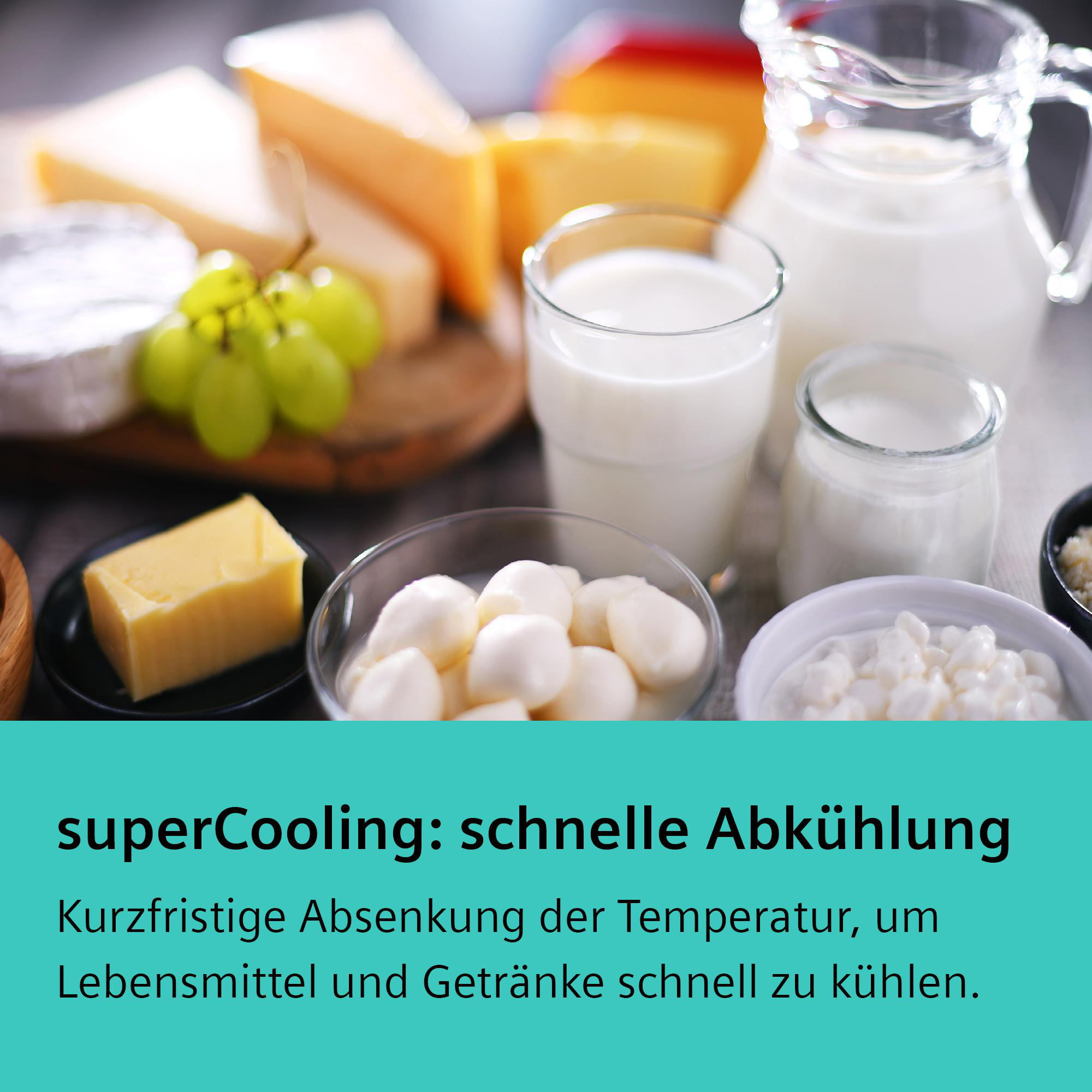 Verschiedene Milchprodukte, darunter Käse, Milch und Joghurt.