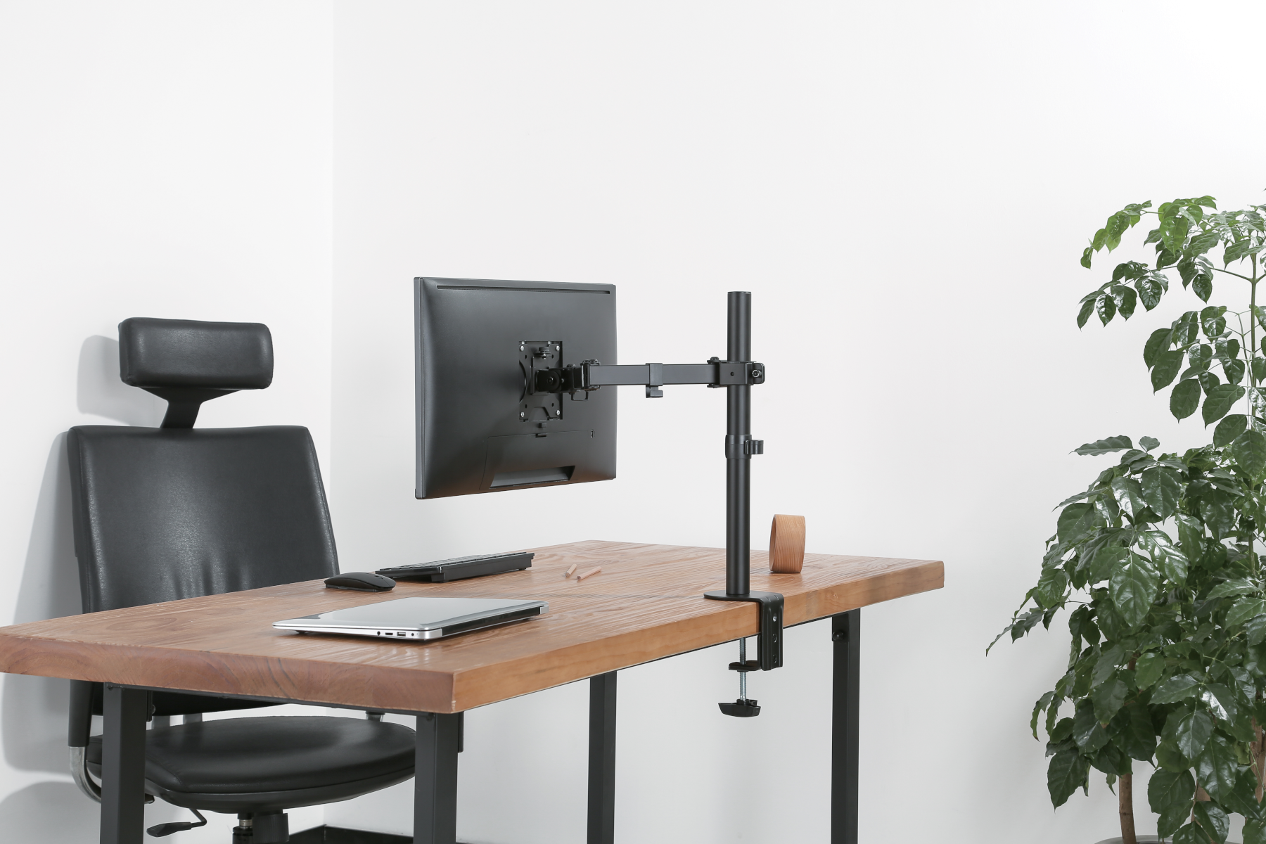Egy asztal monitorral, állvánnyal, laptop-pal és növénnyel. A fal fehér.