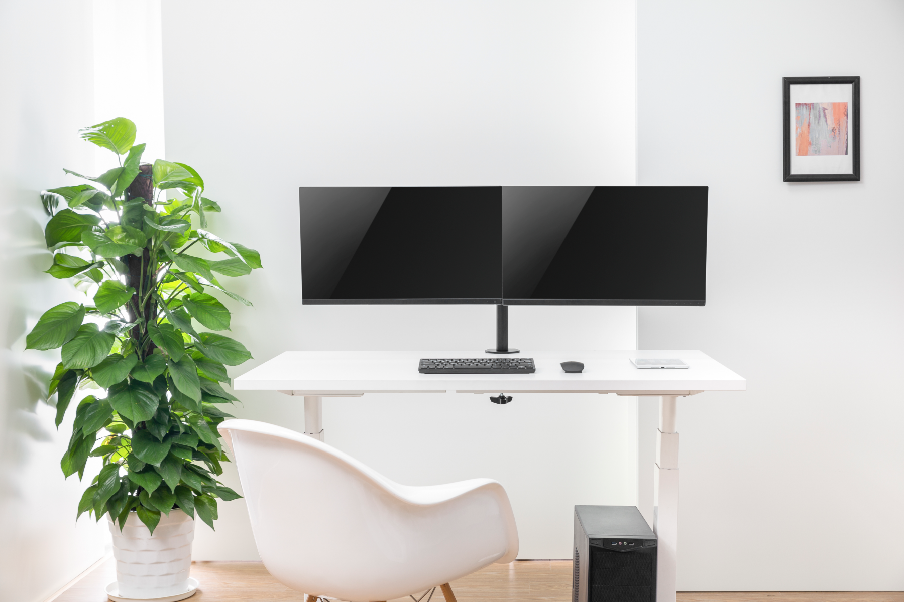 Modern irodai beállítás két monitorral, asztallal, székkel és növénnyel, fehér fal előtt.