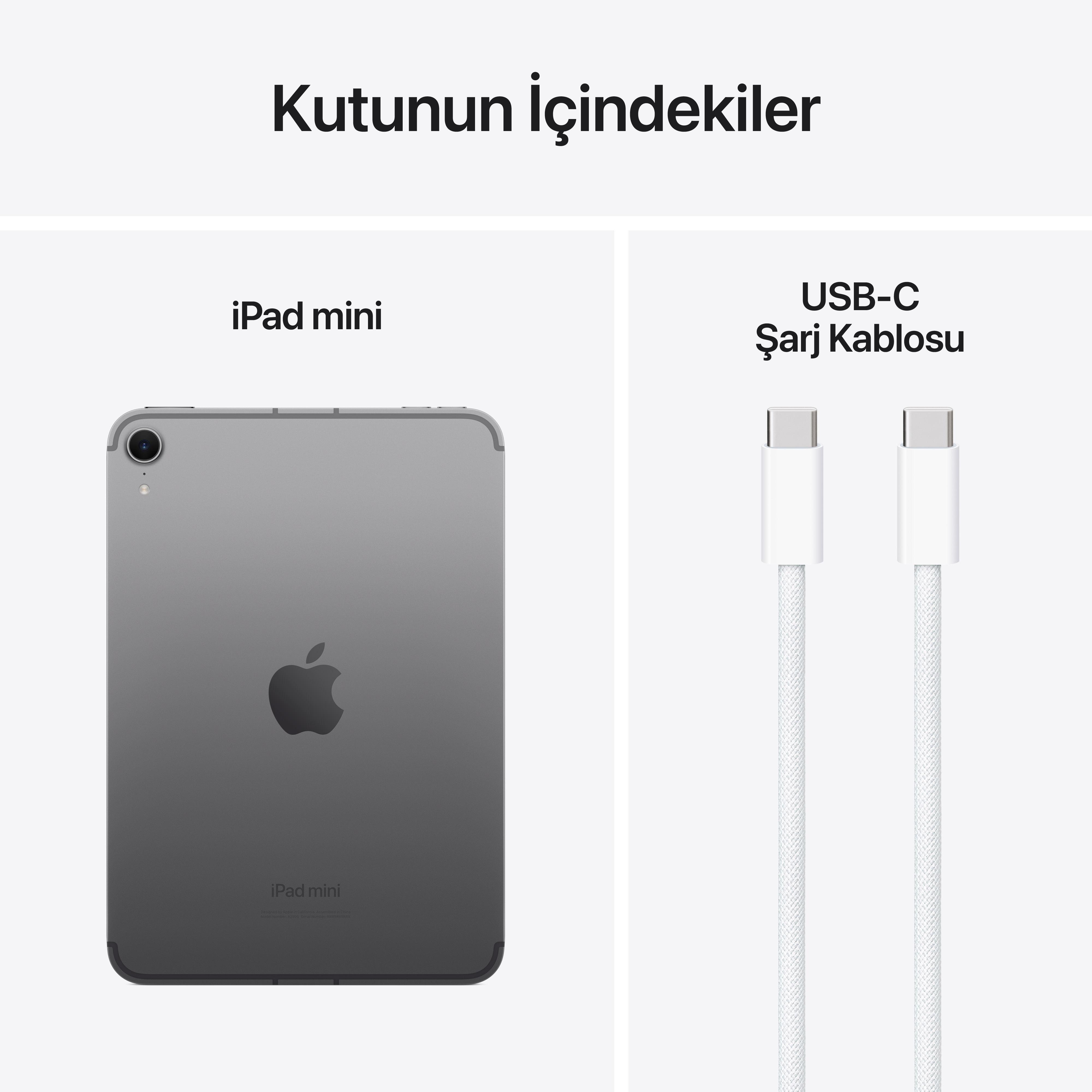Yan yana görüntülenen bir iPad mini ve bir USB-C şarj kablosu.