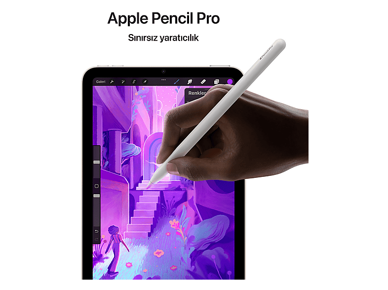 価格交渉可7 2025 032512美品S iPad mini fee_786_587_png