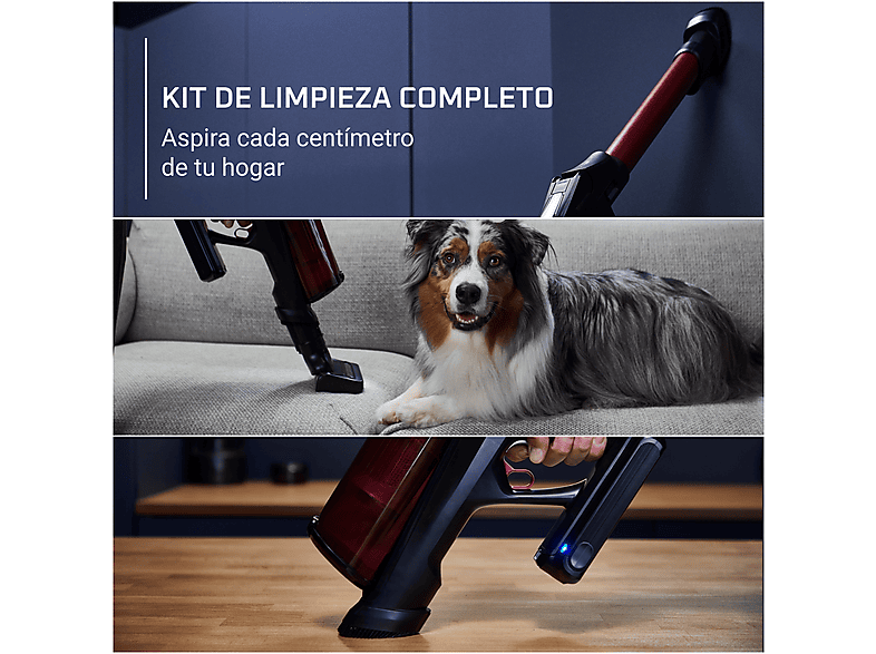 Vista 2