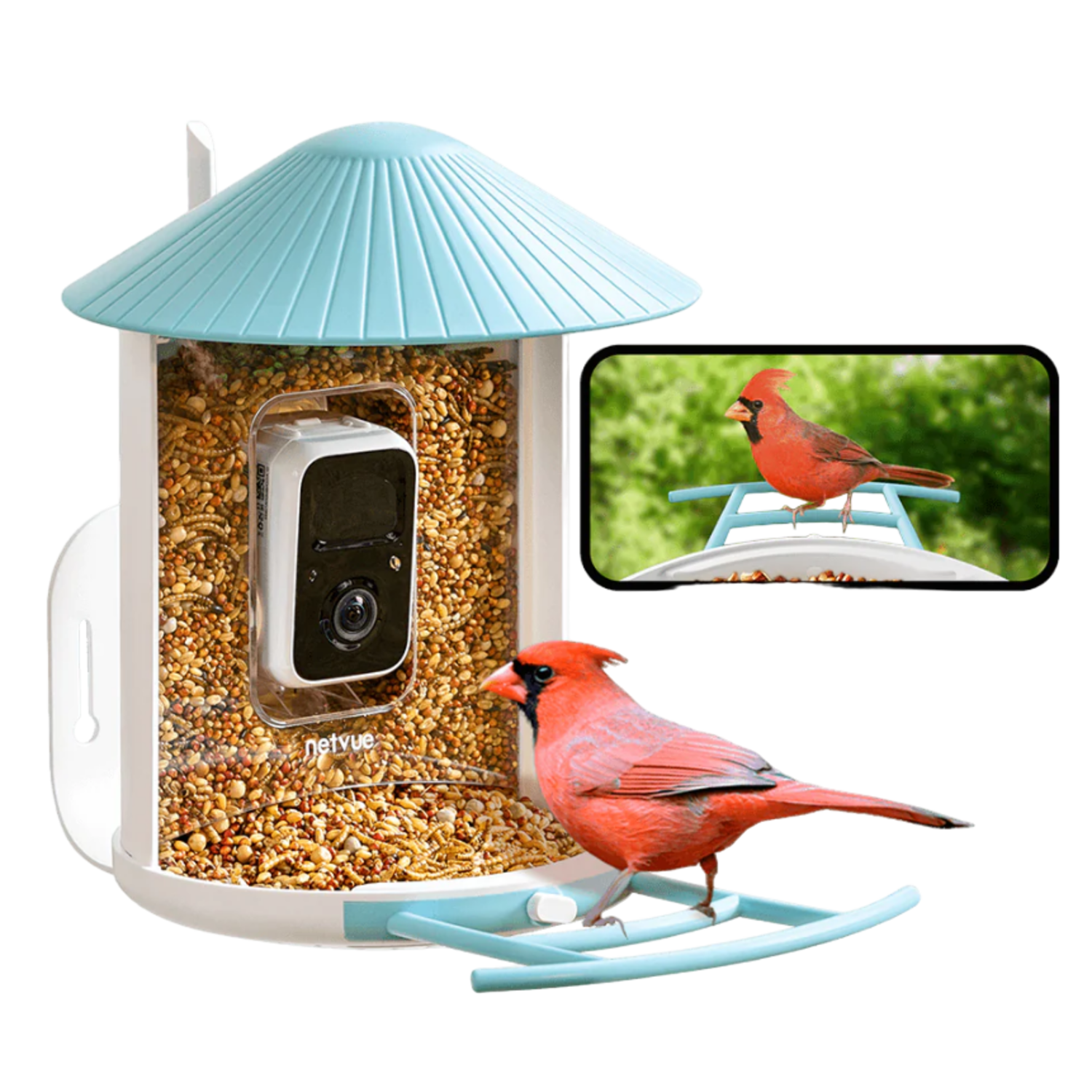 Vogelvoeder met camera en twee rode kardinalen, één zit, één op het scherm.