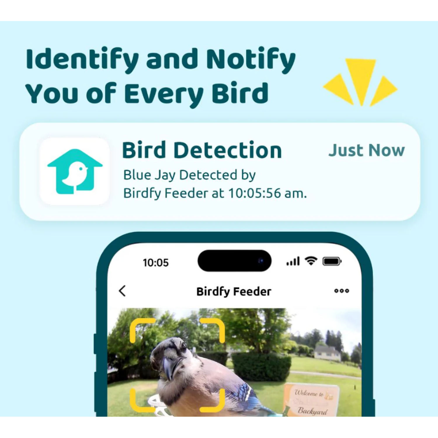 Vogeldetectie-app toont blauwe gaai, tekst: "Blauwe Gaai Gedetecteerd door Birdfy Feeder".