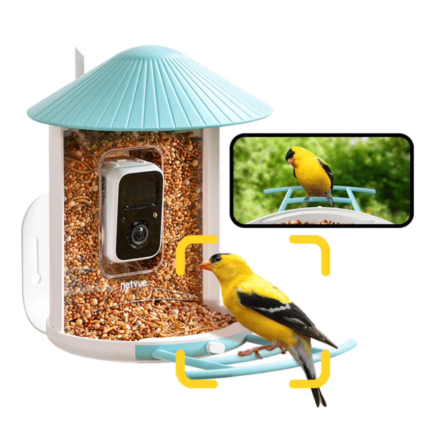 Een vogelvoeder met een camera en een putter. Een aparte afbeelding toont een vogel op een tak.