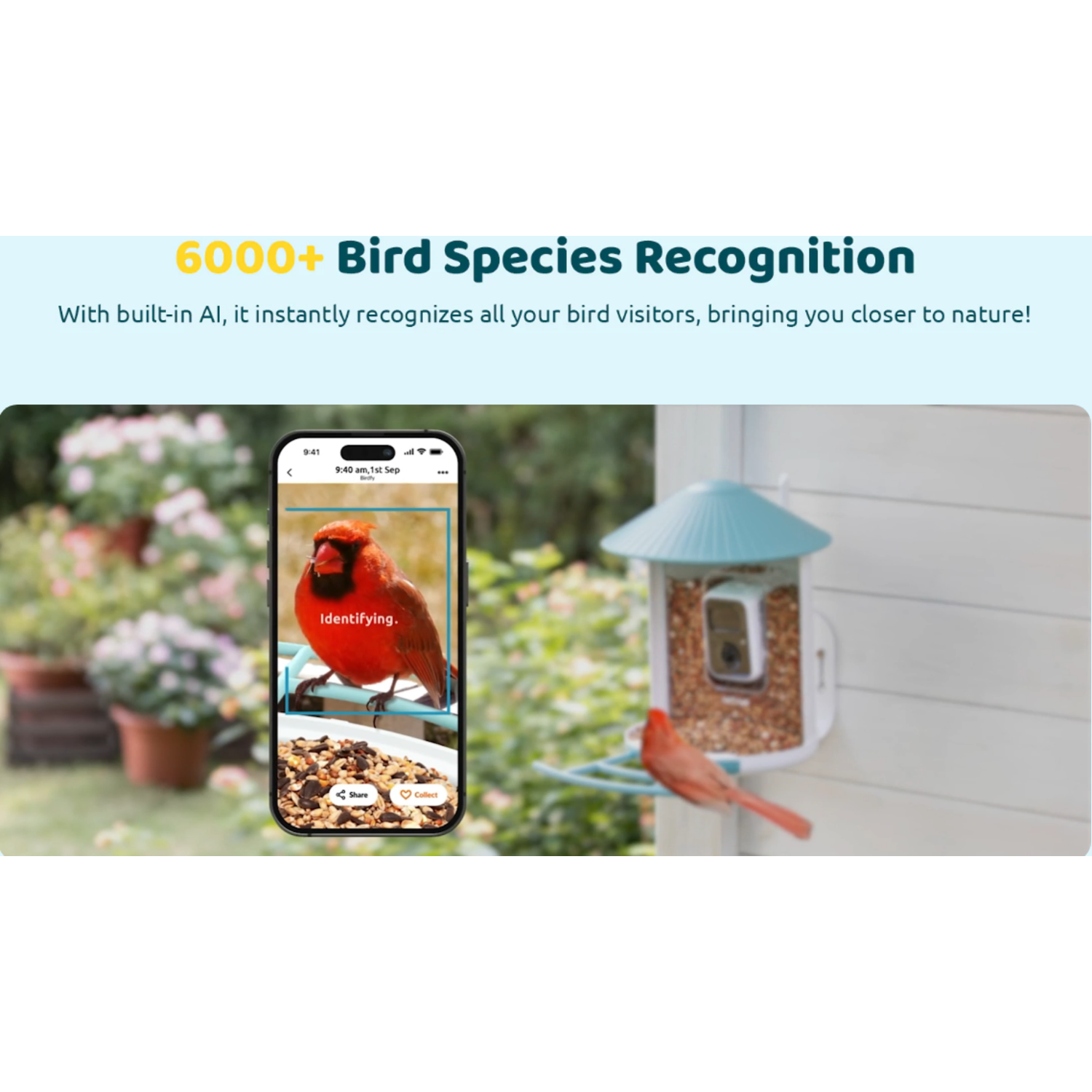 Een smartphonescherm toont een rode vogel die wordt geïdentificeerd door een vogelherkenningsapp.