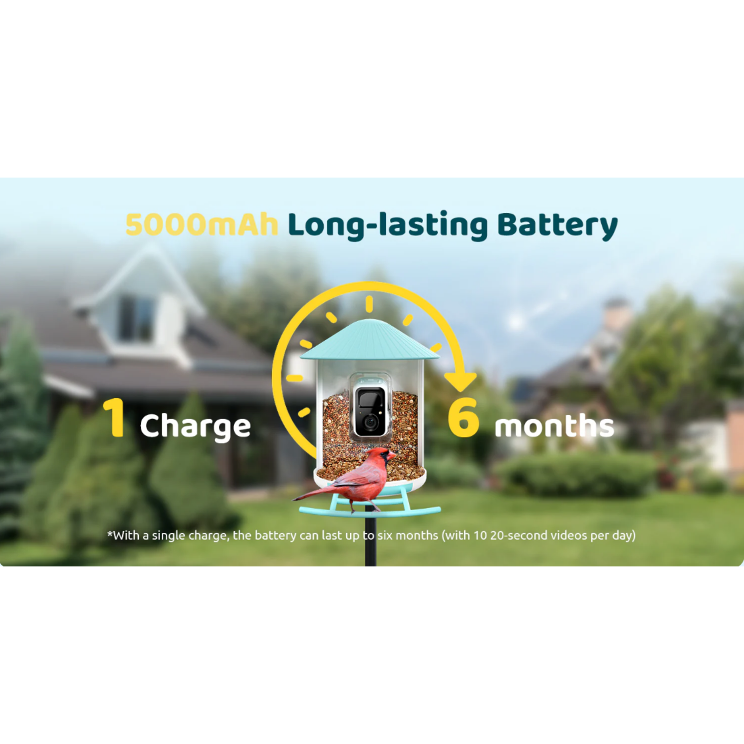 Vogelvoederhuisje met rode vogel. Tekst: 5000mAh batterij, 1 lading, 6 maanden. Huis achtergrond.