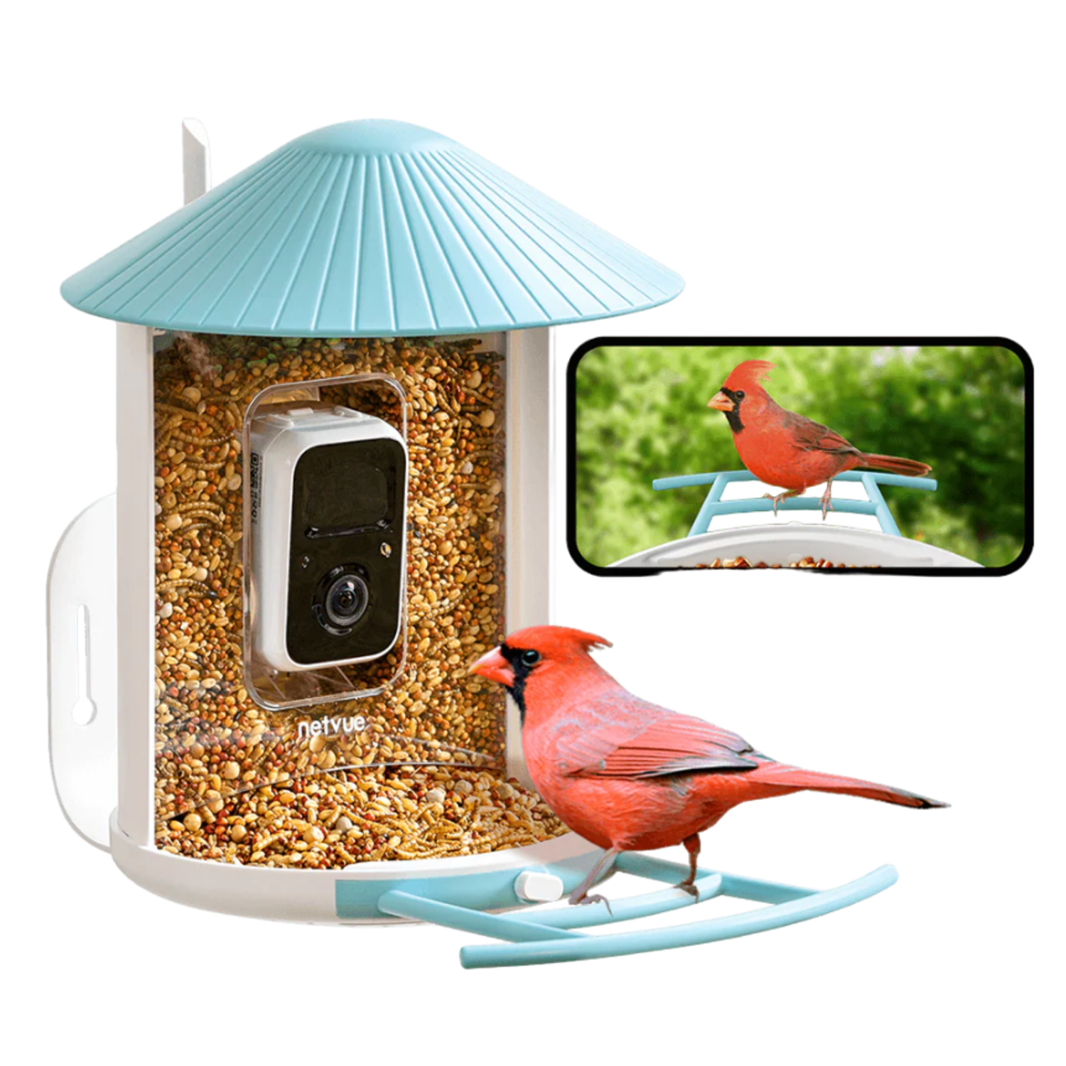 Birdfy Vogelvoederhuisje Met Zonnepaneel Ai Herkenning Lifetime Camera