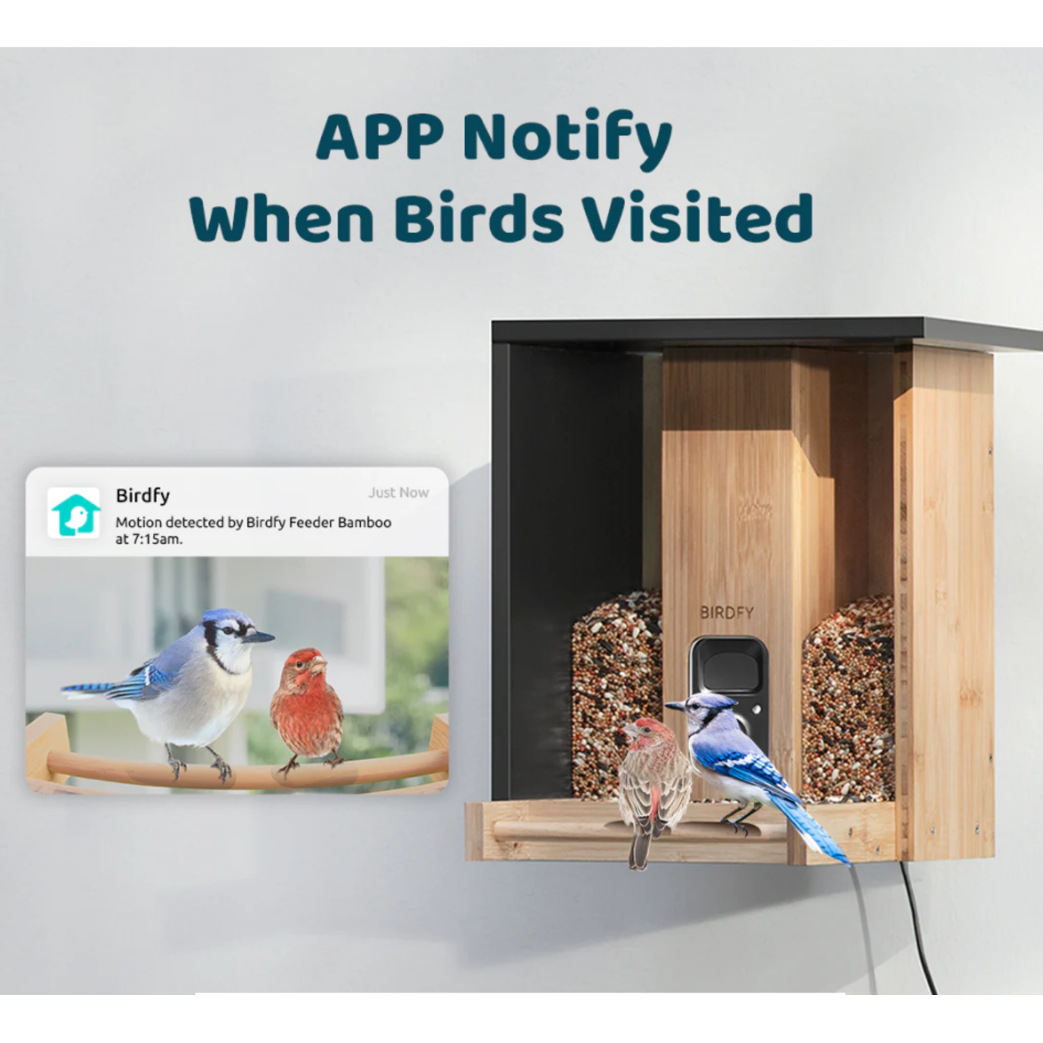 Vogelvoederhuisje met vogels erop, met een telefoonmelding van een bezoek.
