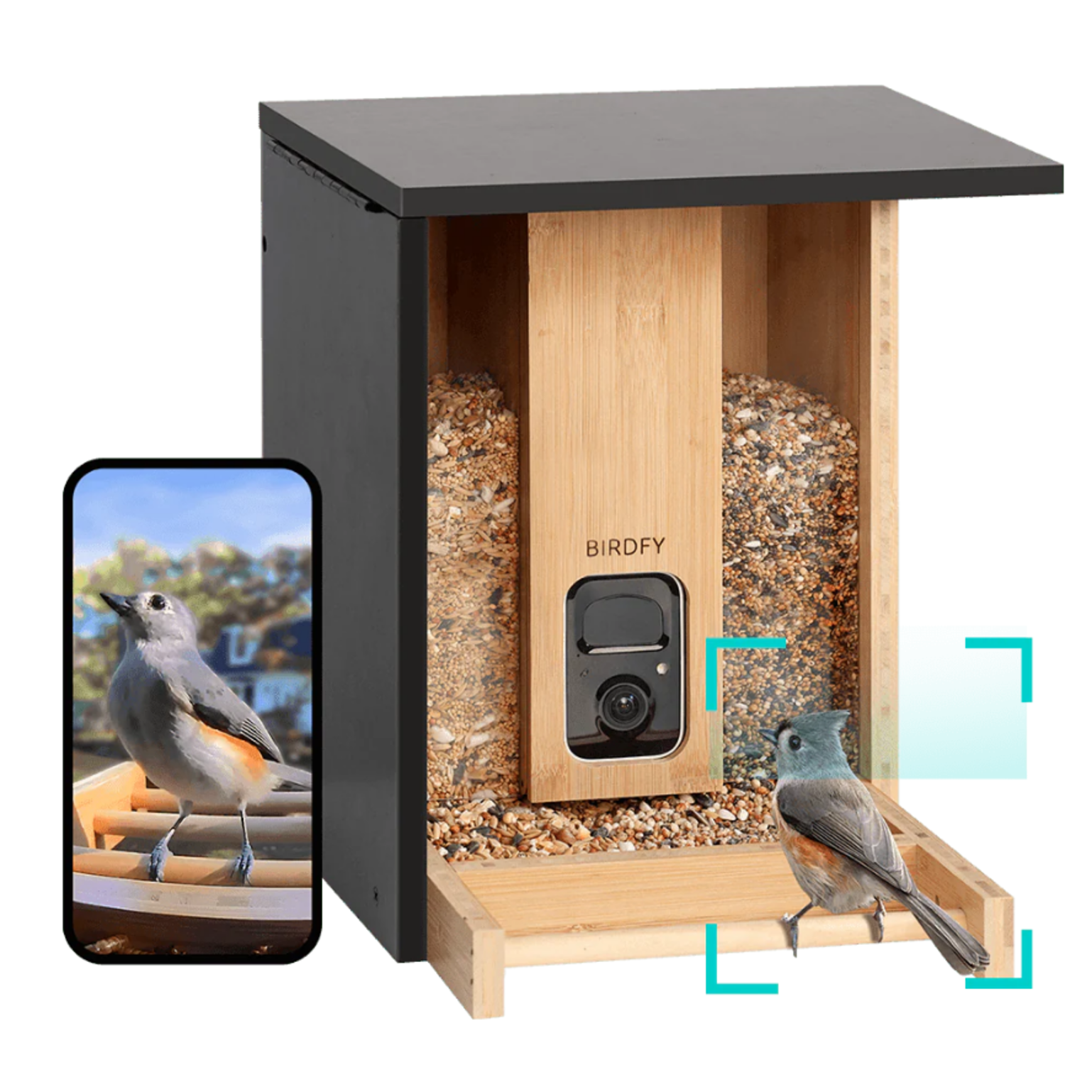 Vogelvoeder met een vogel in de voederbak en op een telefoonscherm.