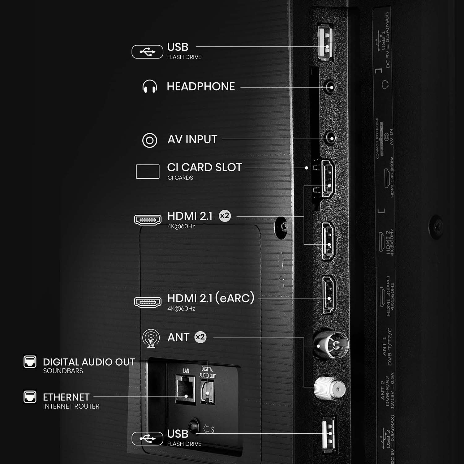 Primer plano de los puertos de TV. Puertos HDMI, USB y antena etiquetados. Las etiquetas de texto son blancas.