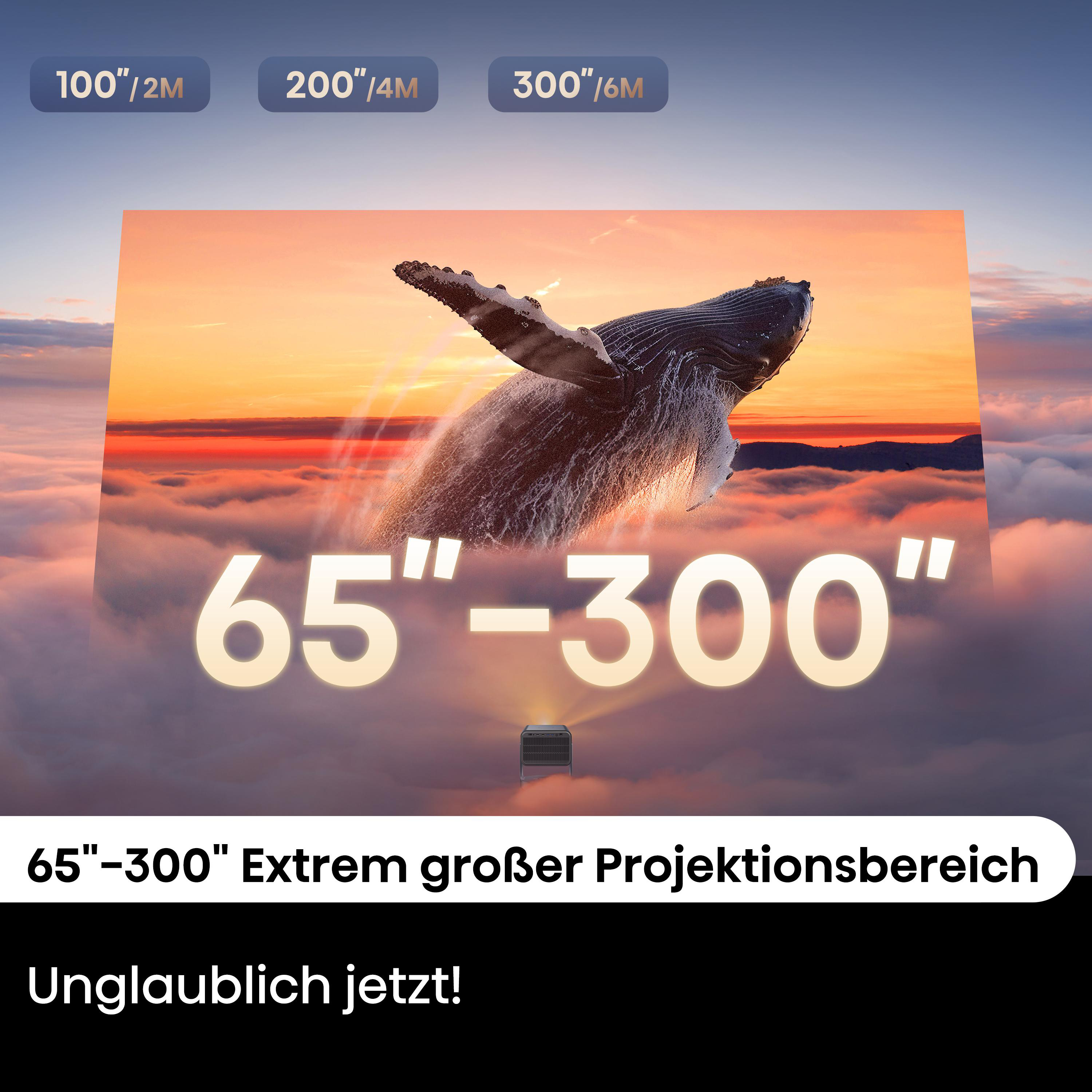 Ein Wal springt aus den Wolken. Text: 65"-300" und 100"/2M, 200"/4M, 300"/6M.