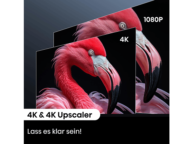 Hisense C2 Pro, 2600 ANSI Lumen, (65-300 Zoll) Smart Mini Laser Projektor (UHD 4K, 3D, 2600 cd/m²) — Foto 5 von 5