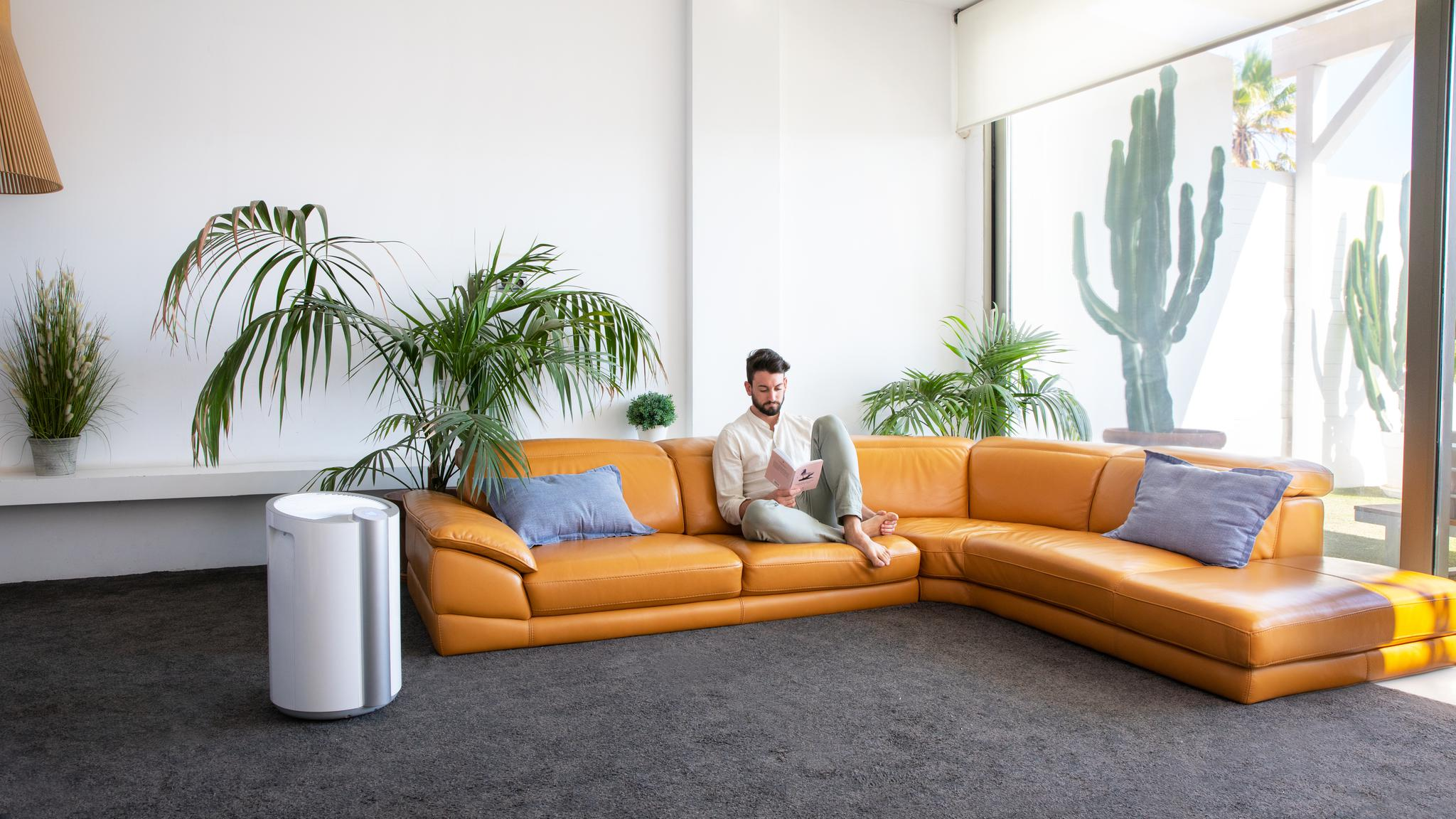 Un hombre leyendo en un sofá amarillo en una sala de estar moderna con plantas y un purificador de aire blanco.