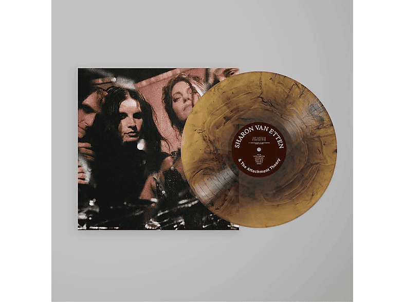 Sharon Van Etten - SHARON VAN ETTEN And THE ATTACHMENT THEORY (Color Vi - (Vinyl)