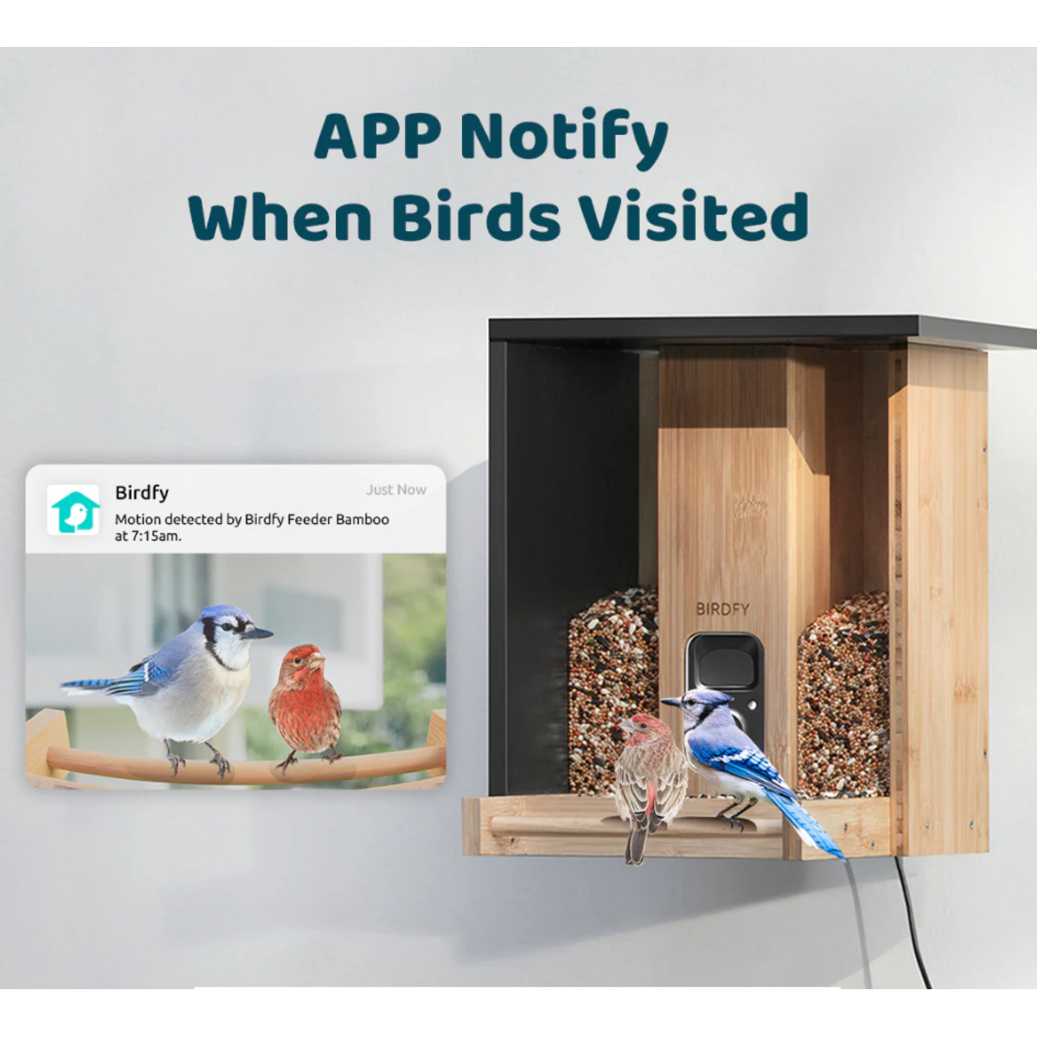 Vogelvoeder met vogels en een melding van een app, met een lichte achtergrond.