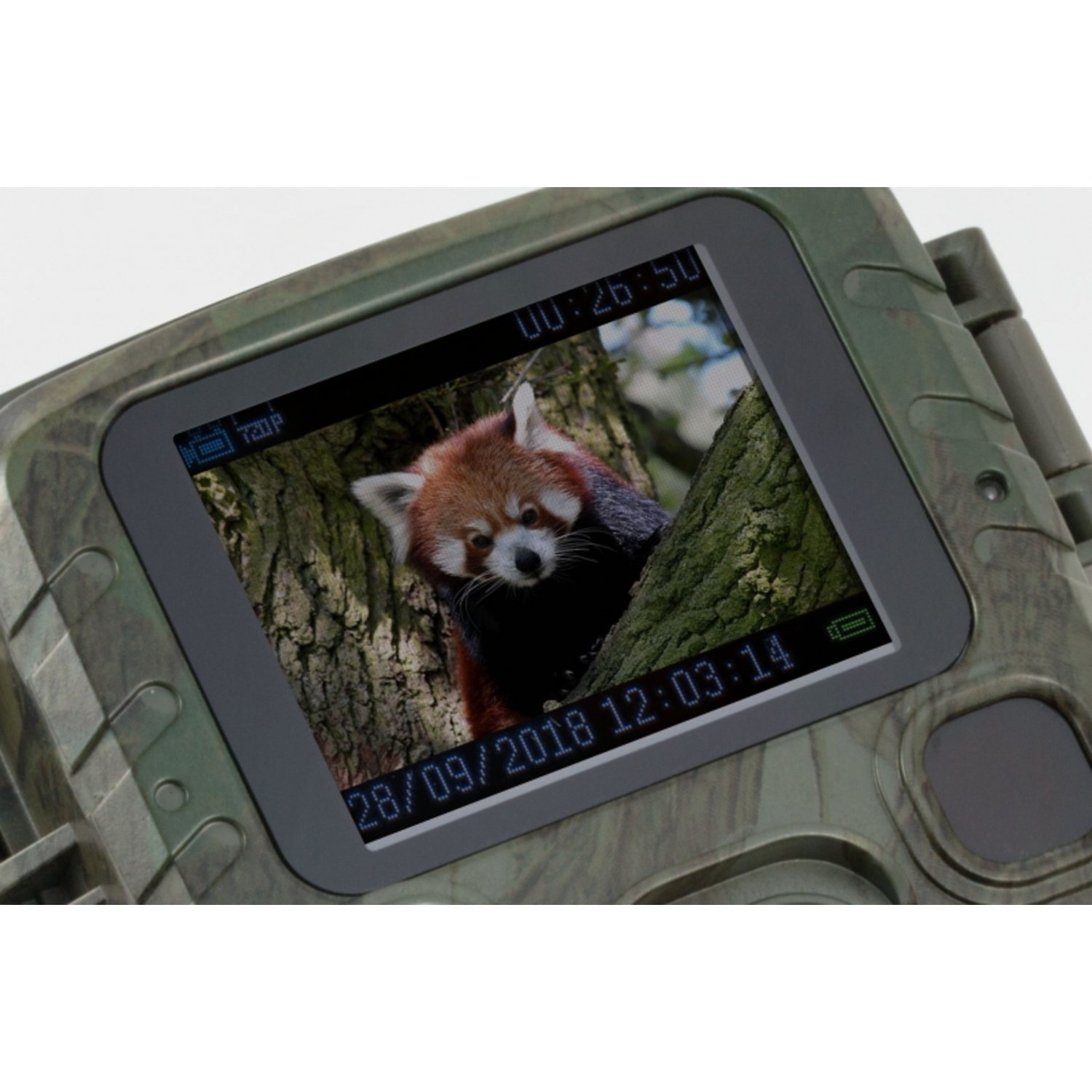Digitale camera met een rode panda in een boom, scherm toont datum.